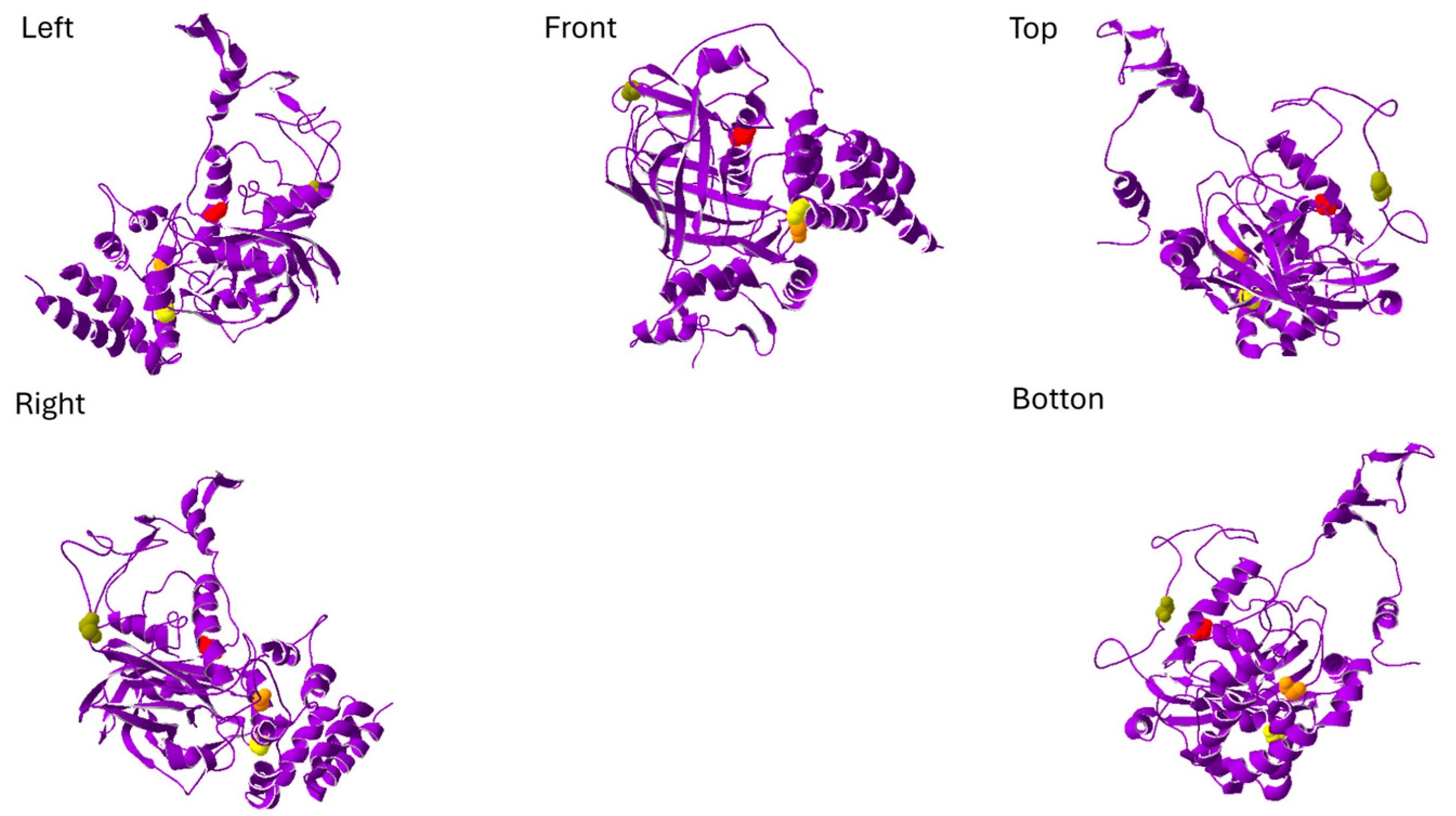 Neurolint 17 00199 g003 Neurolint 17 00199 g003