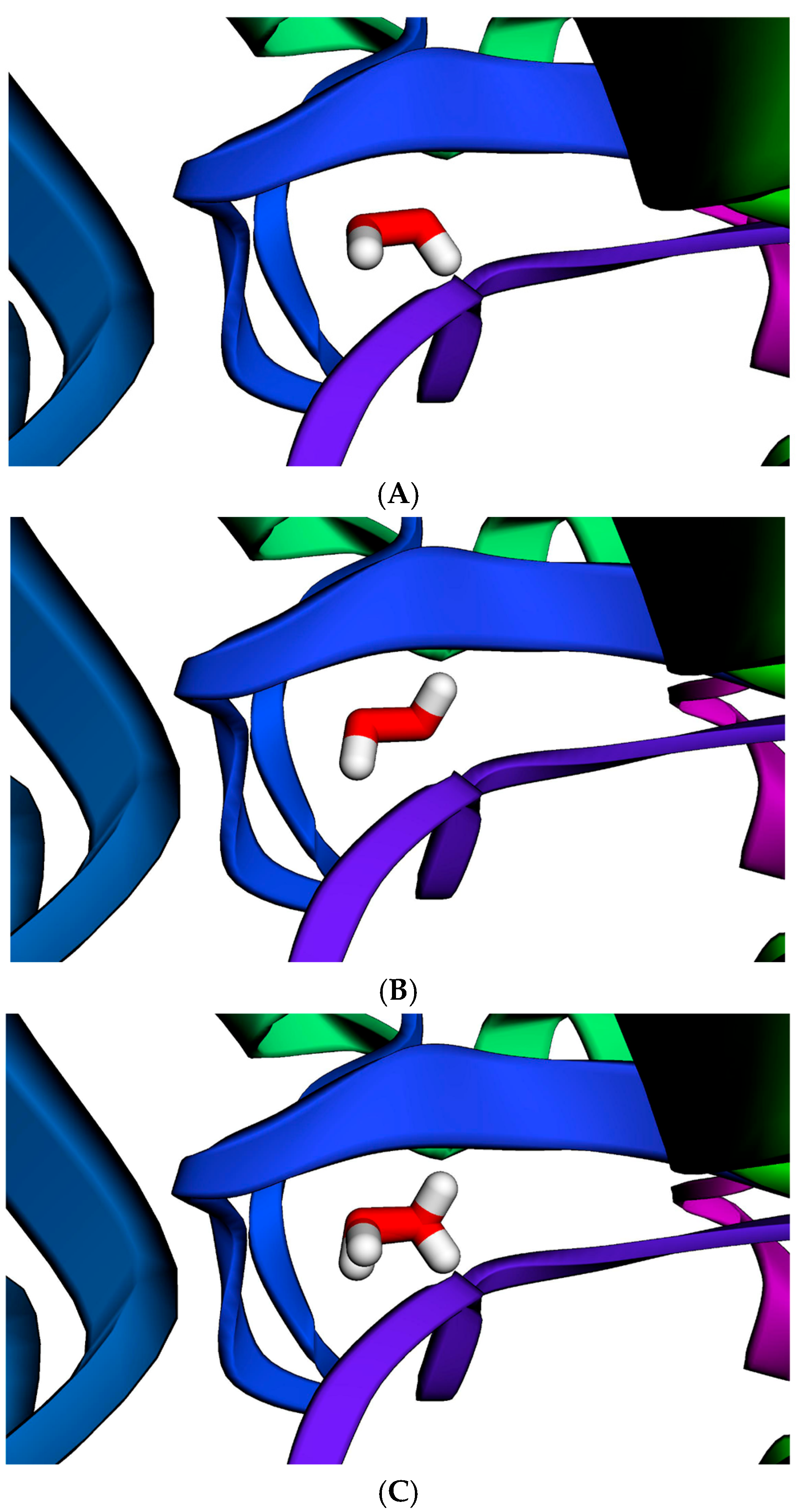 Neurolint 17 00199 g004 Neurolint 17 00199 g004