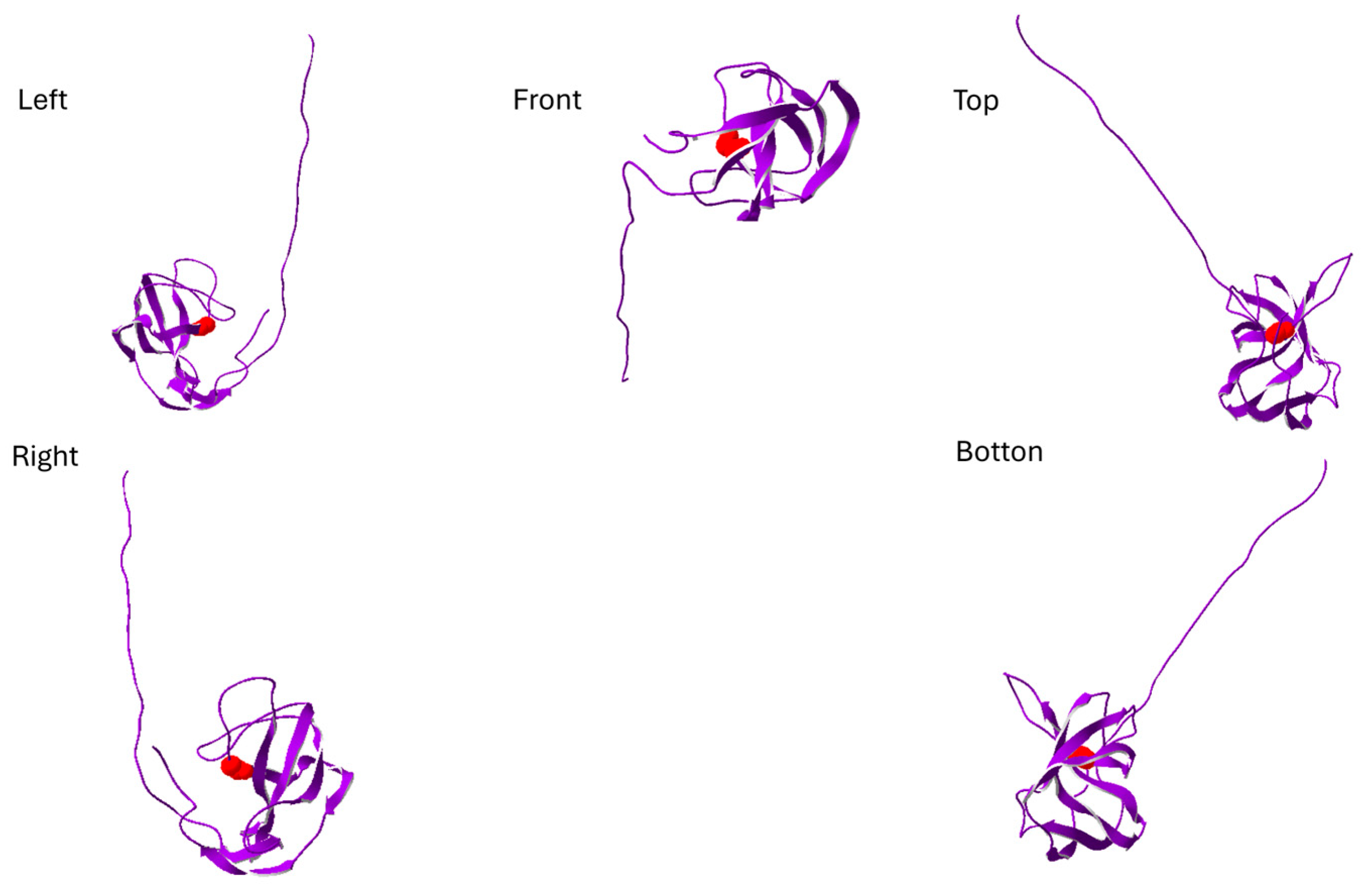 Neurolint 17 00199 g005 Neurolint 17 00199 g005