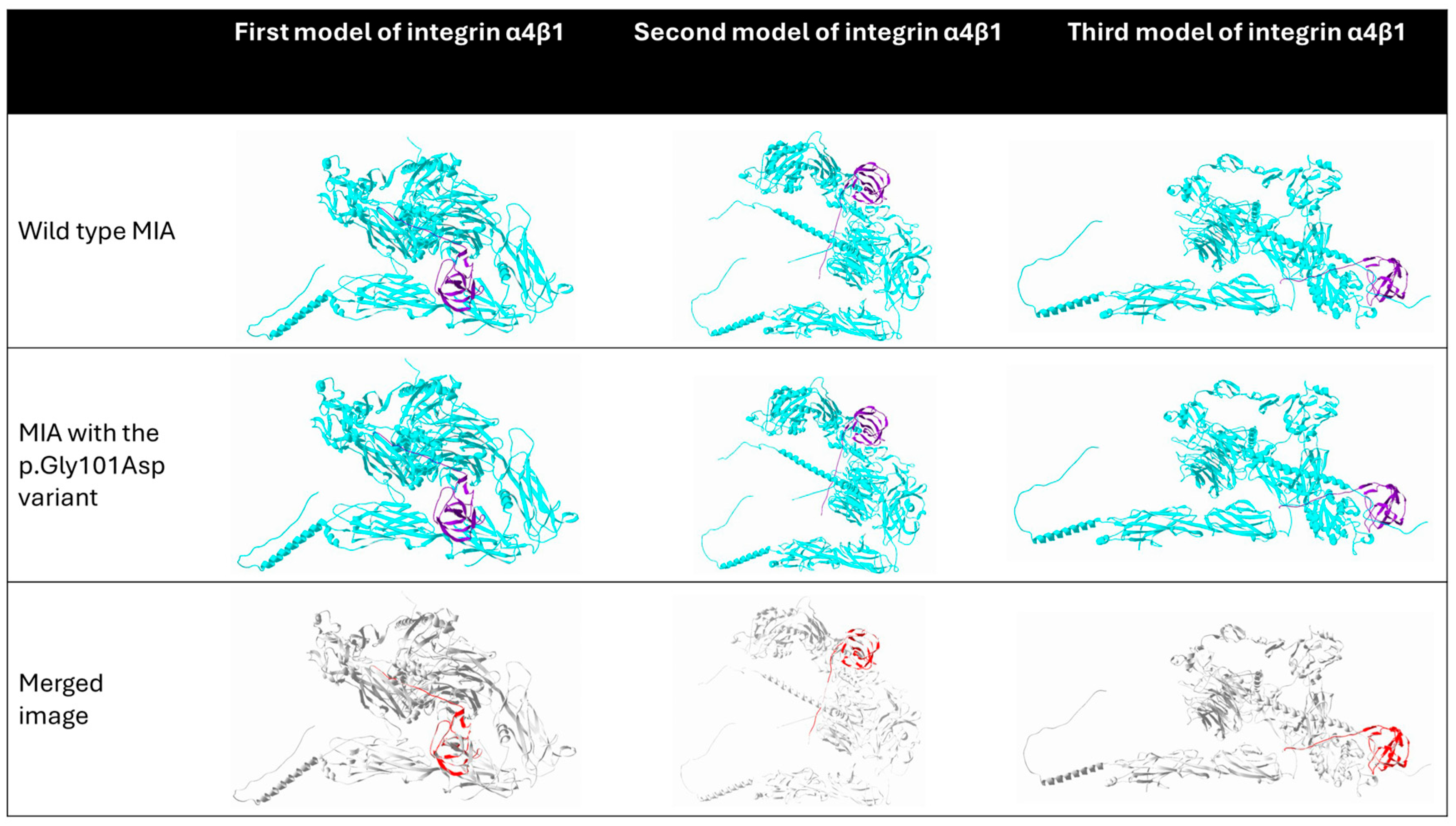 Neurolint 17 00199 g006 Neurolint 17 00199 g006