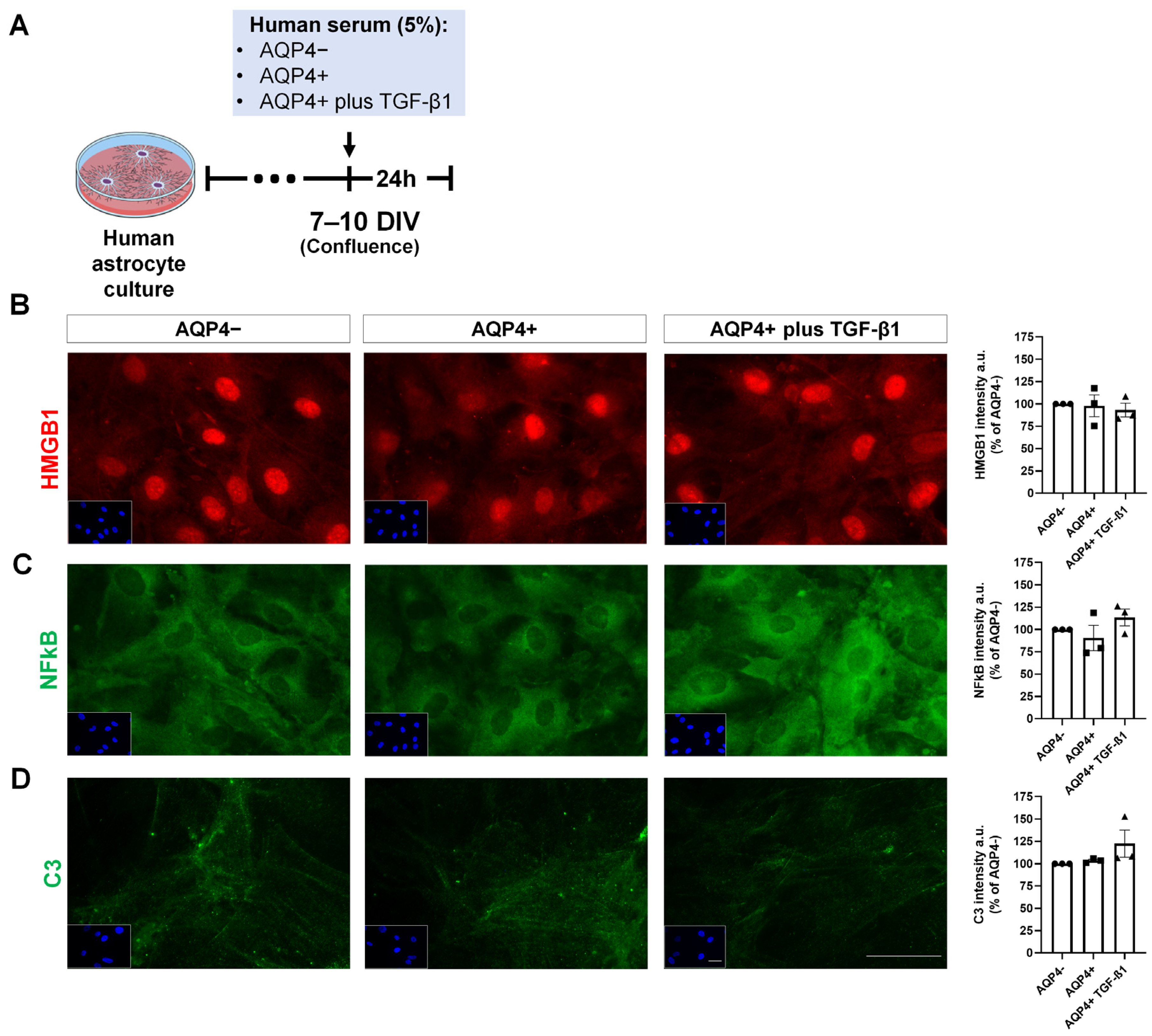 Neurolint 17 00200 g006 Neurolint 17 00200 g006