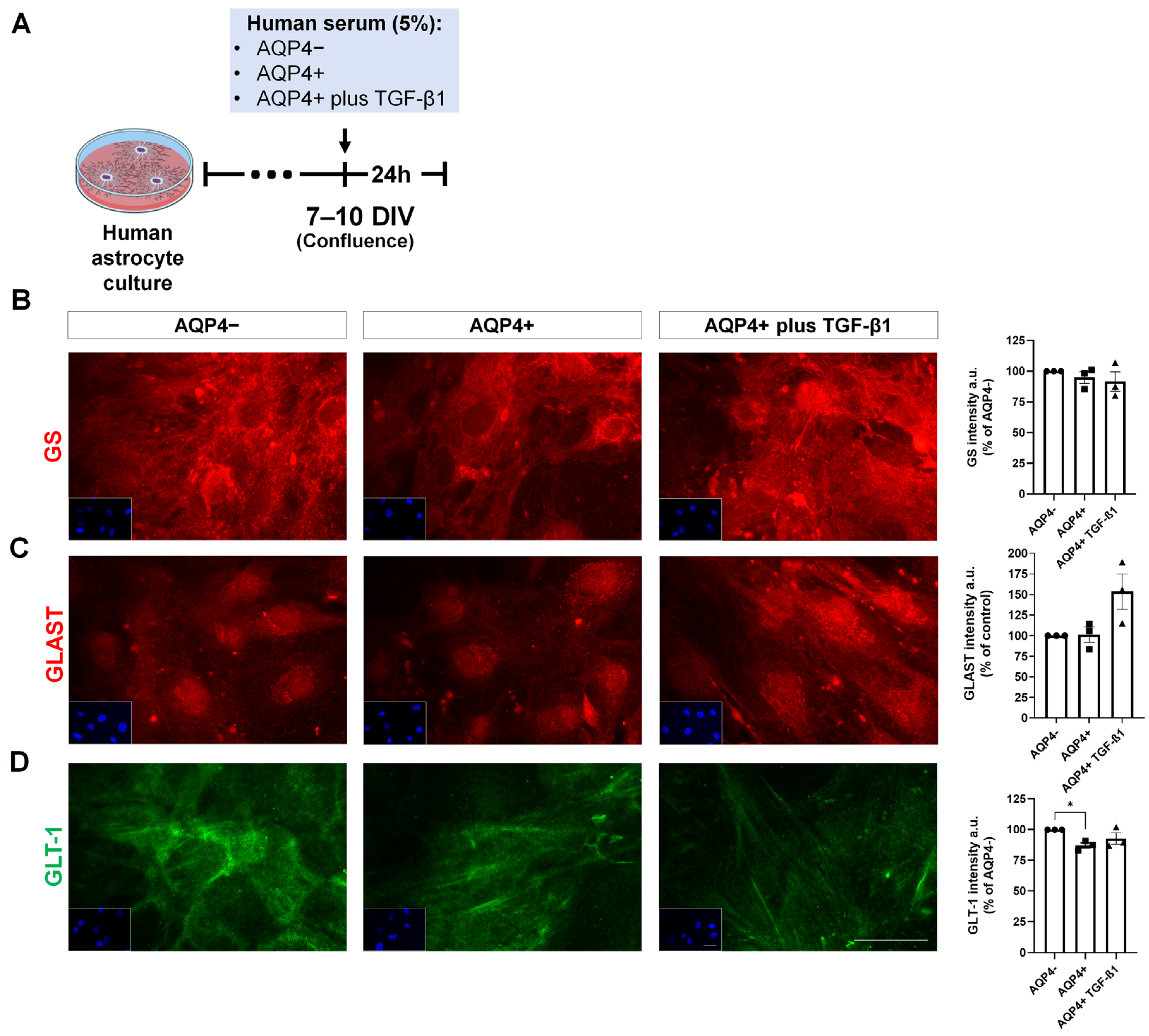 Neurolint 17 00200 g007 Neurolint 17 00200 g007
