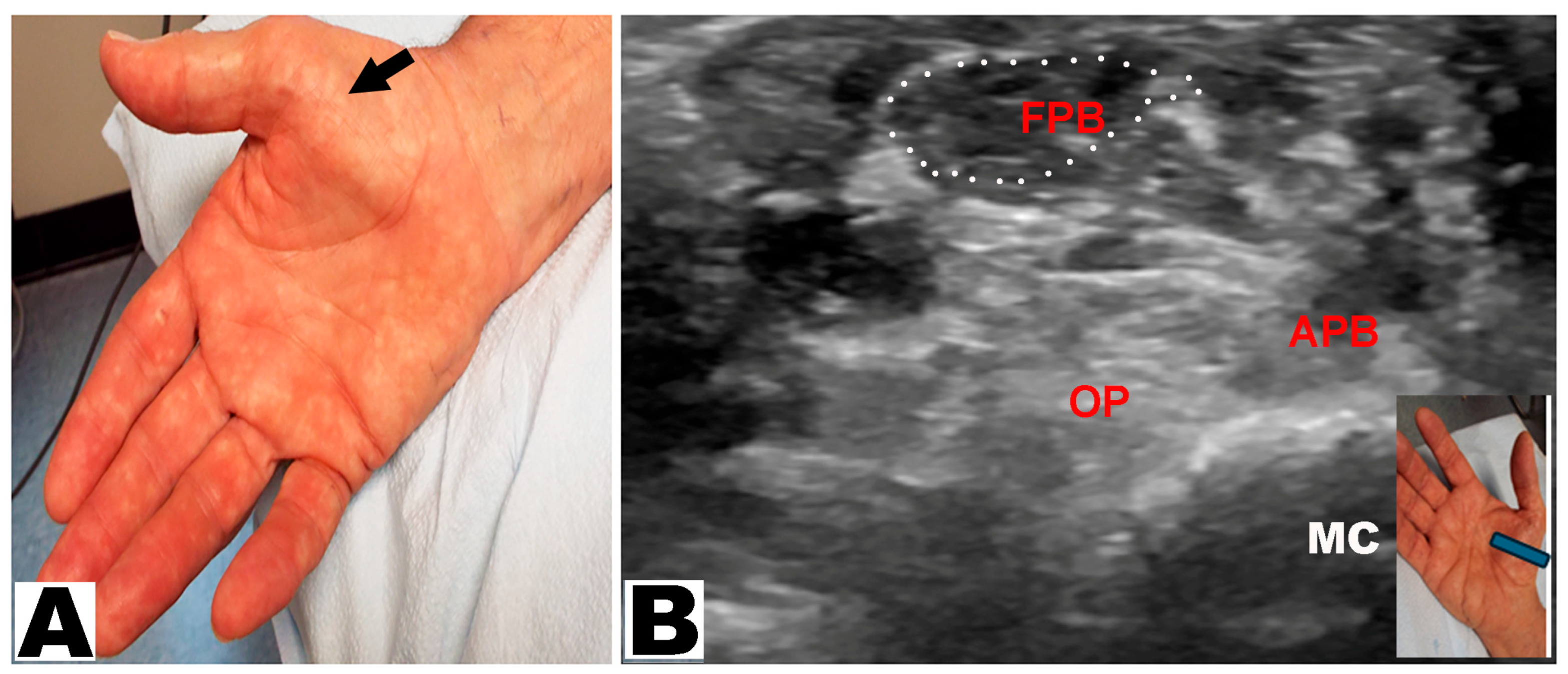 Neurolint 17 00201 g004