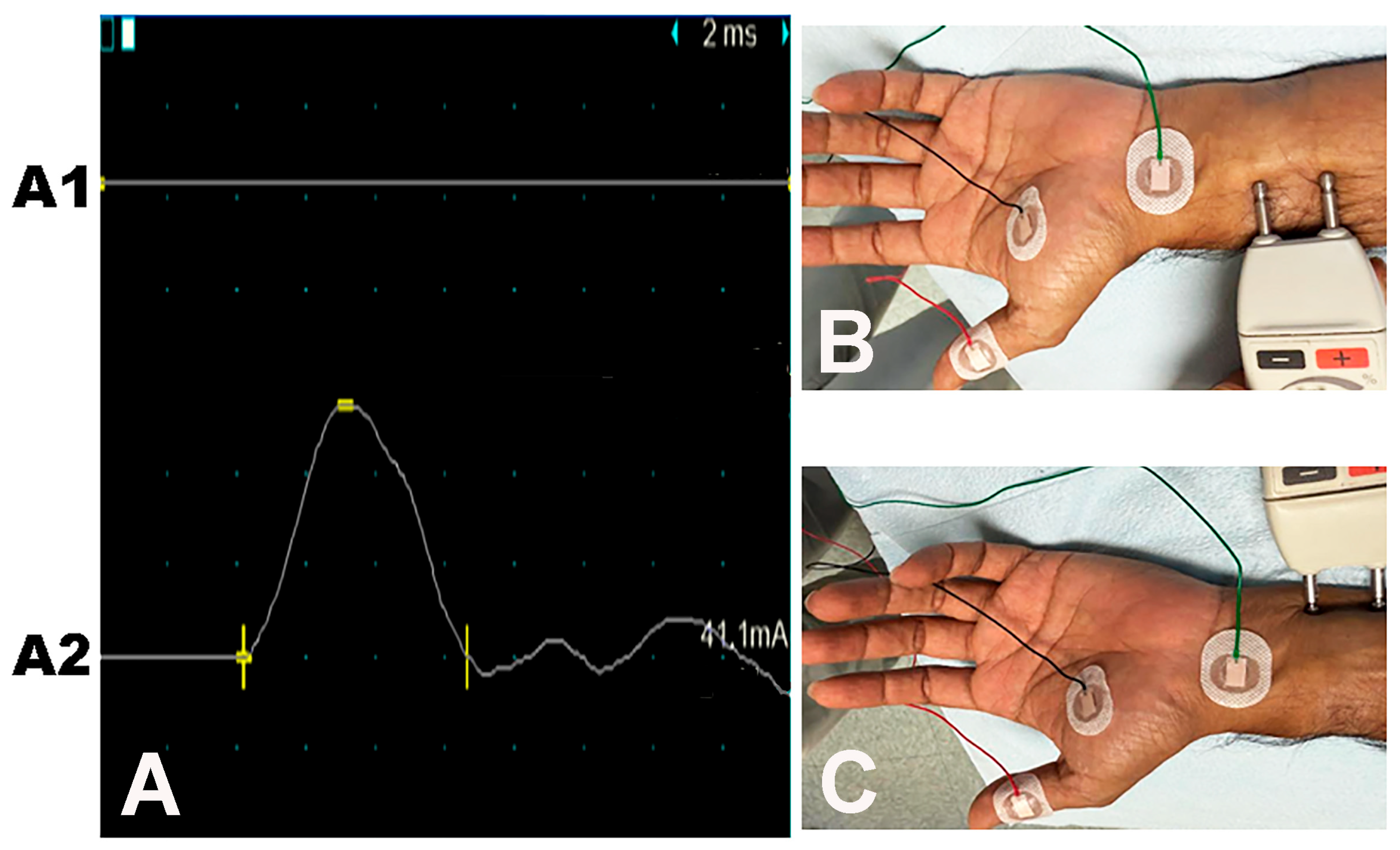 Neurolint 17 00201 g005