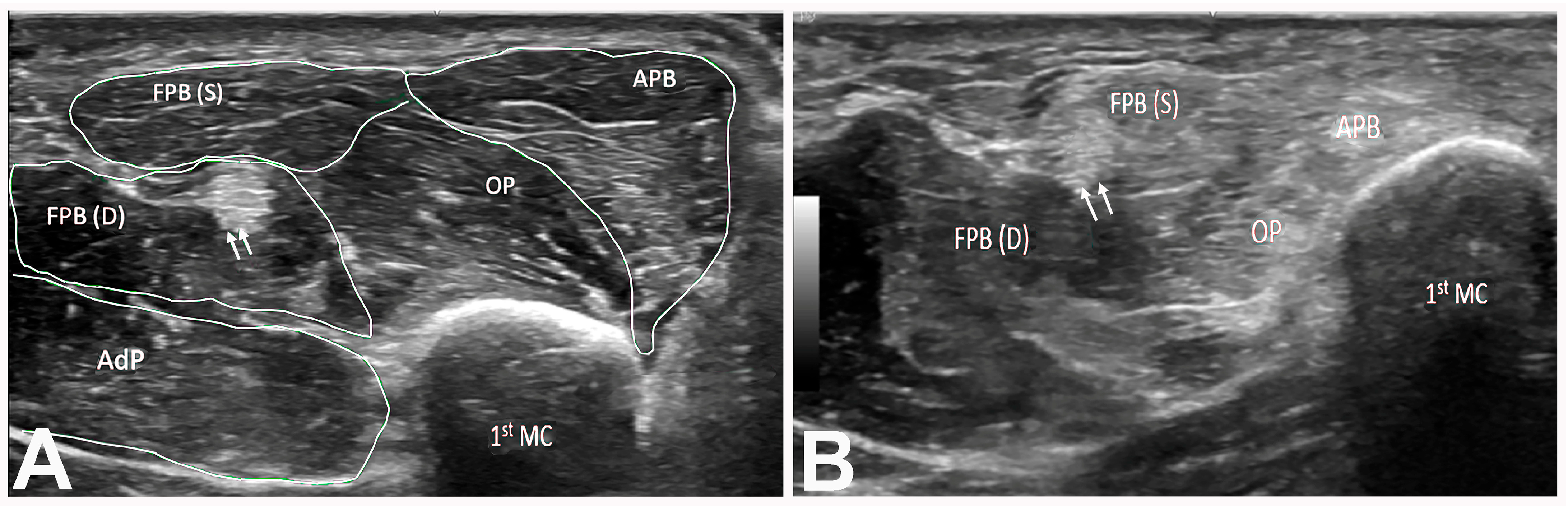 Neurolint 17 00201 g006