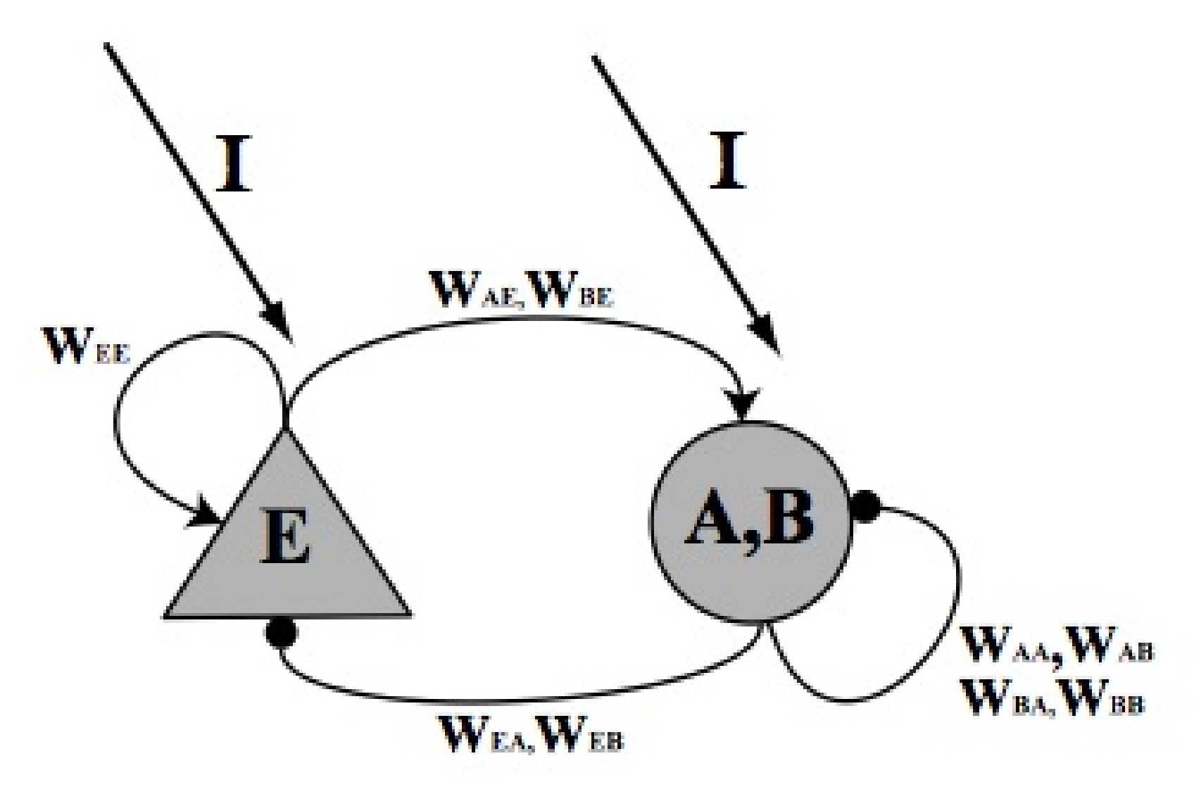 Neurosci 01 00008 g012 Neurosci 01 00008 g012