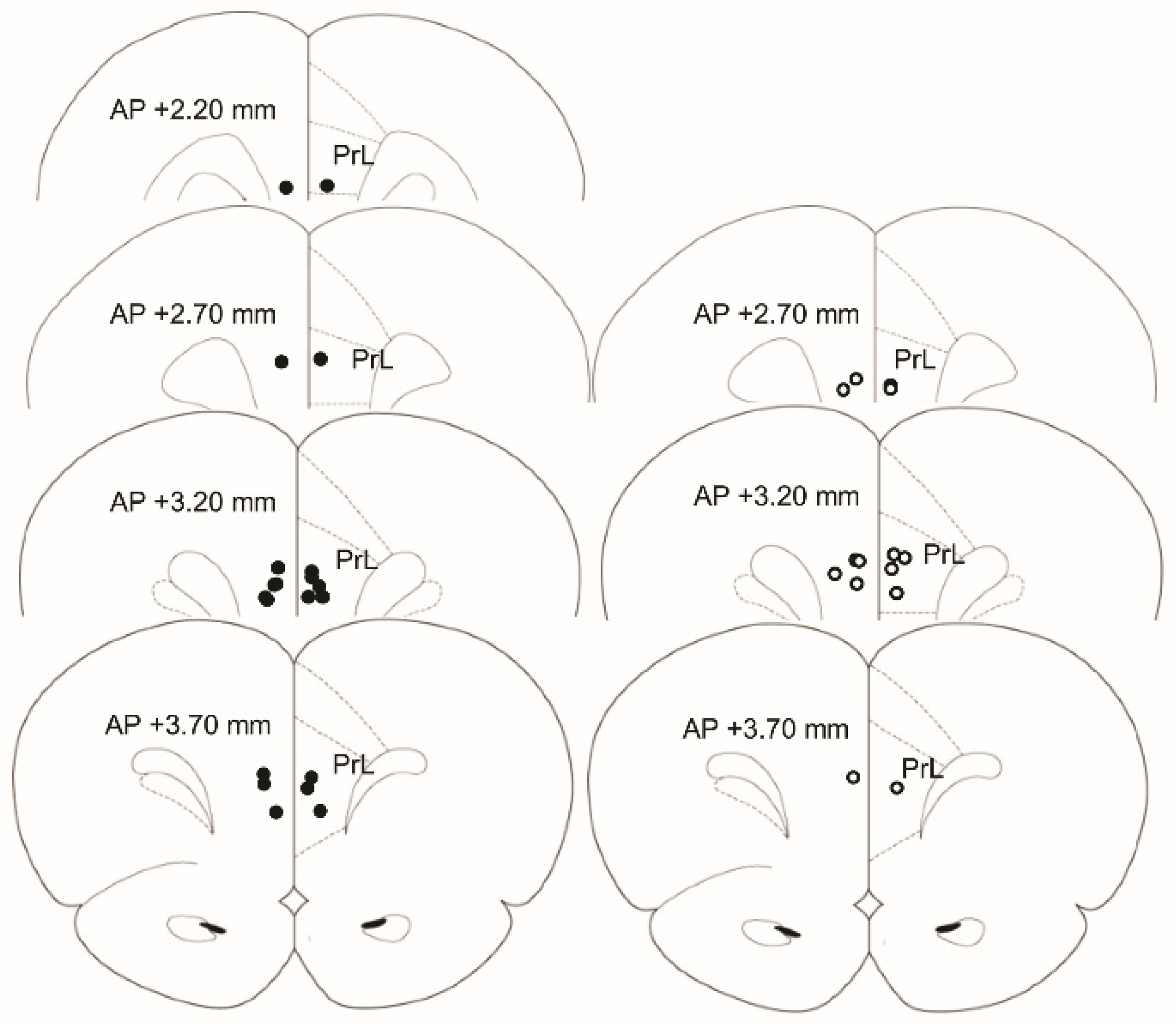 Neurosci 01 00010 g001 Neurosci 01 00010 g001