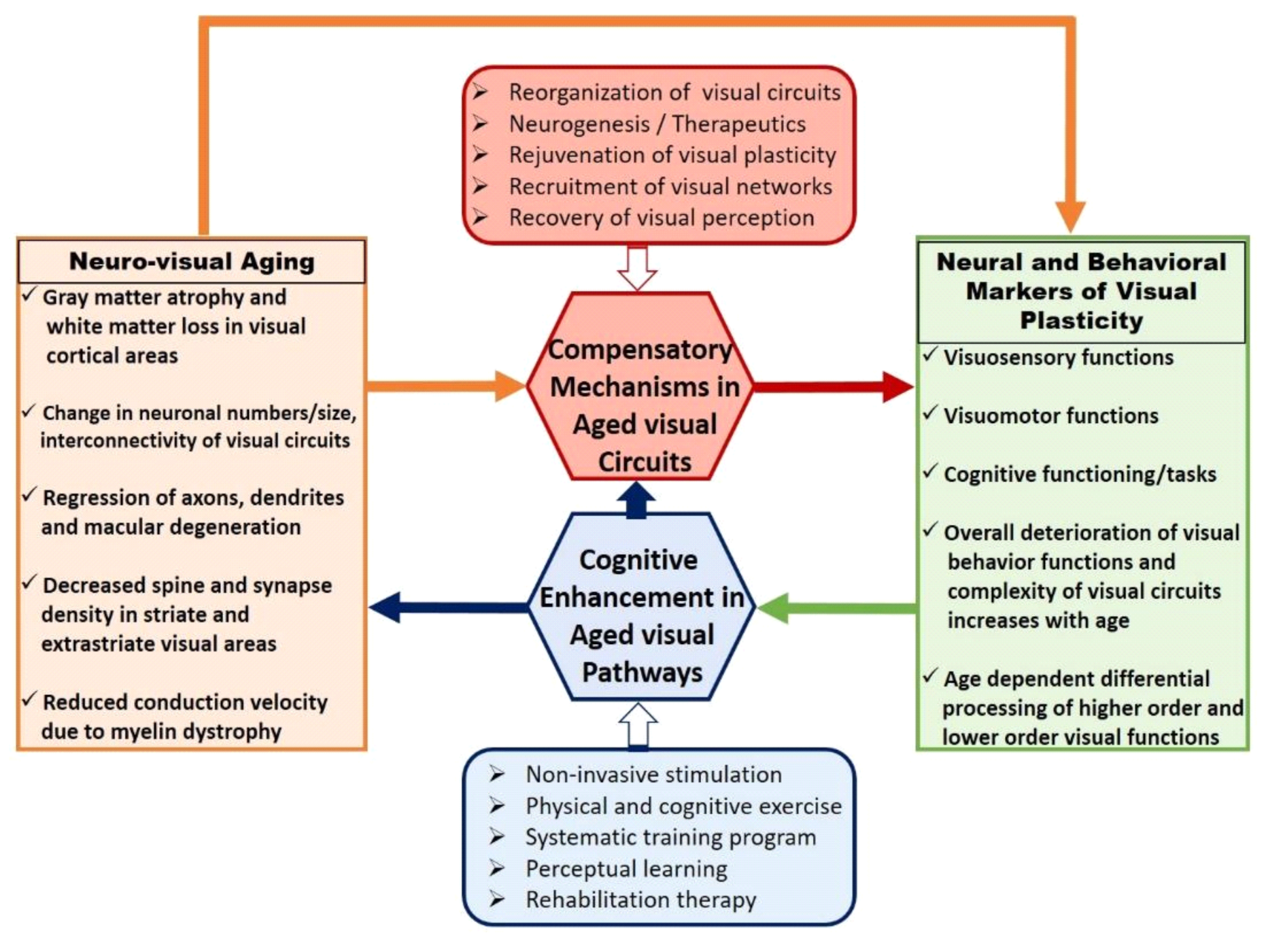 Neurosci 02 00001 g001