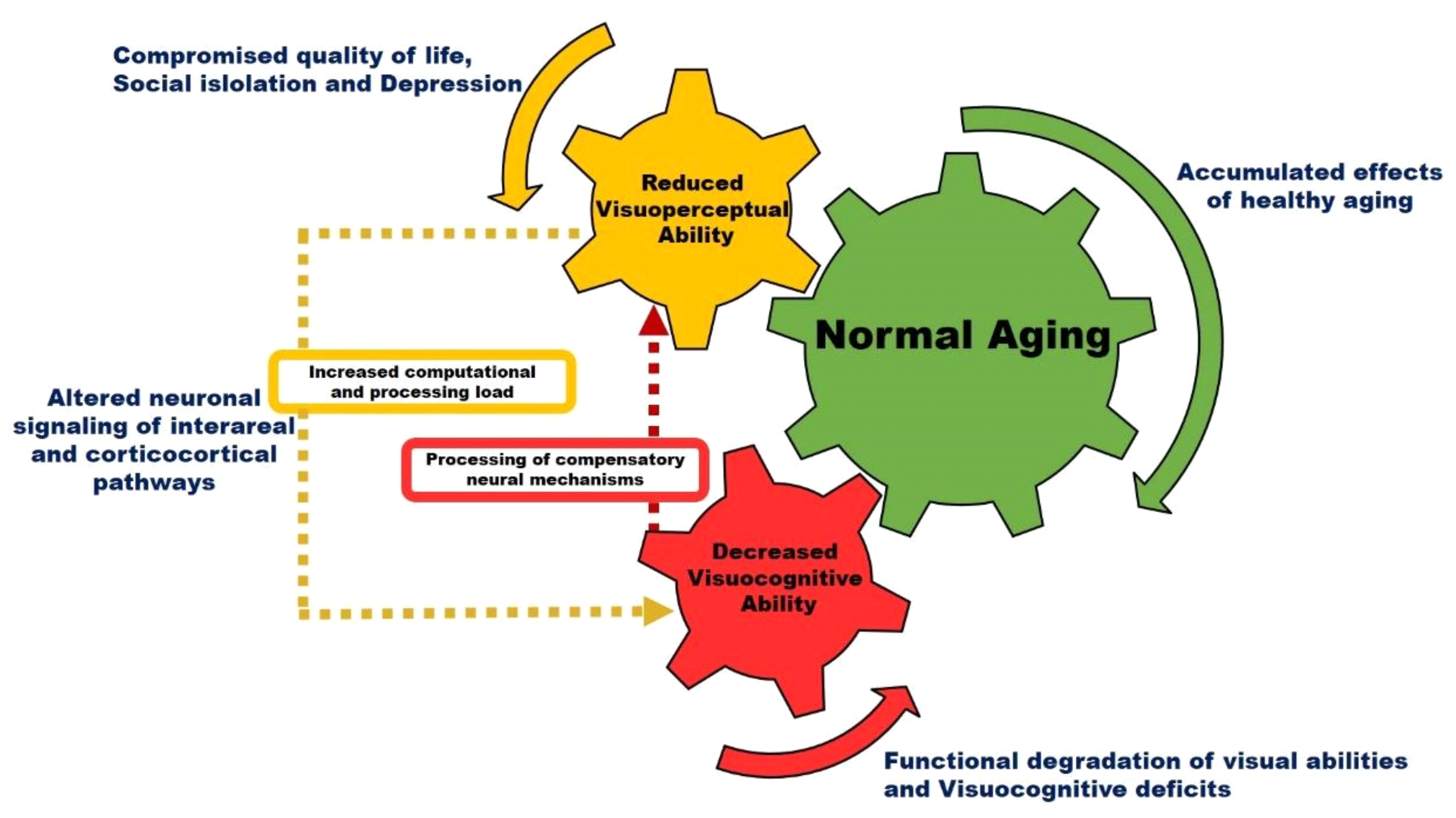 Neurosci 02 00001 g002
