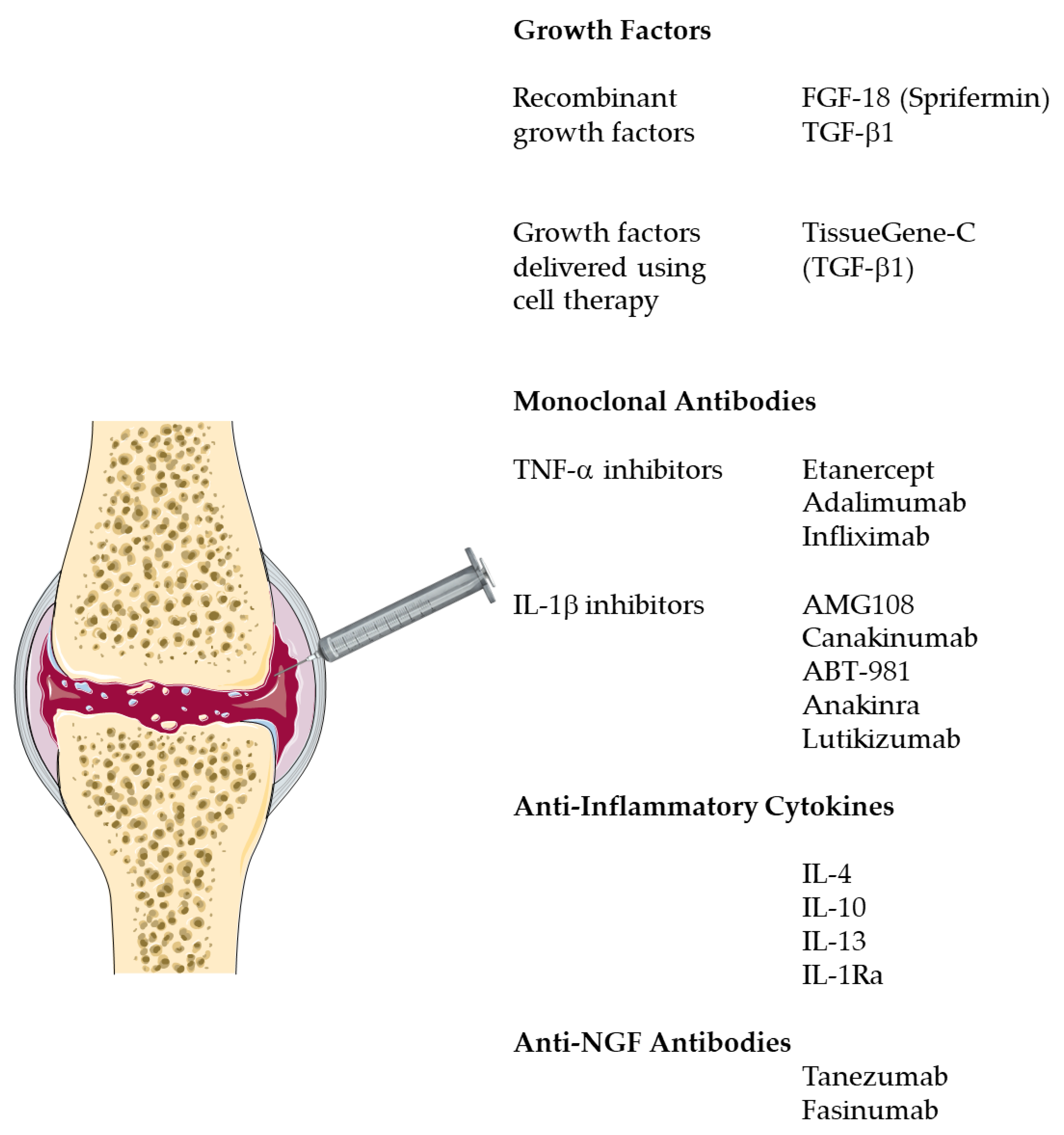 Neurosci 02 00003 g002 Neurosci 02 00003 g002