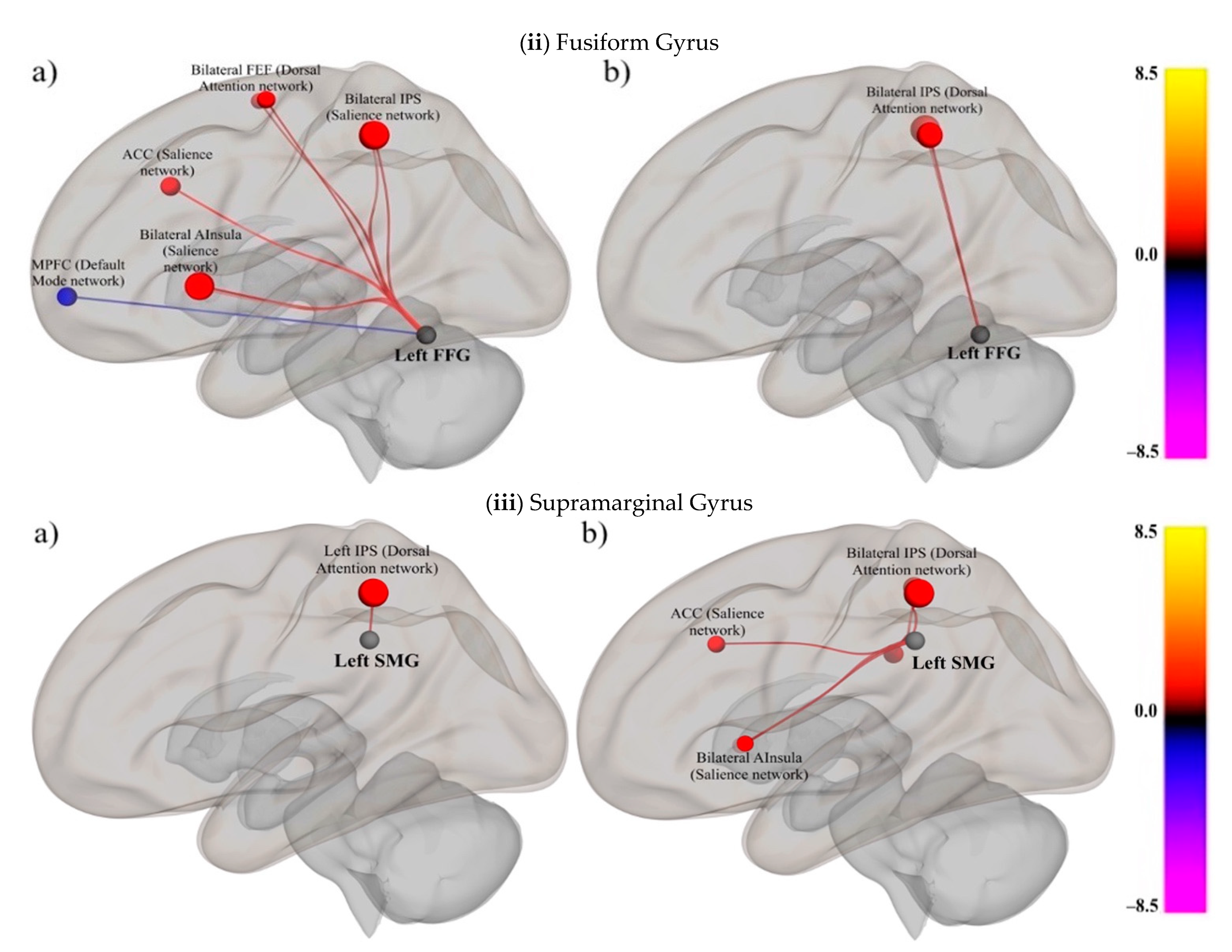 Neurosci 02 00005 g003b Neurosci 02 00005 g003b