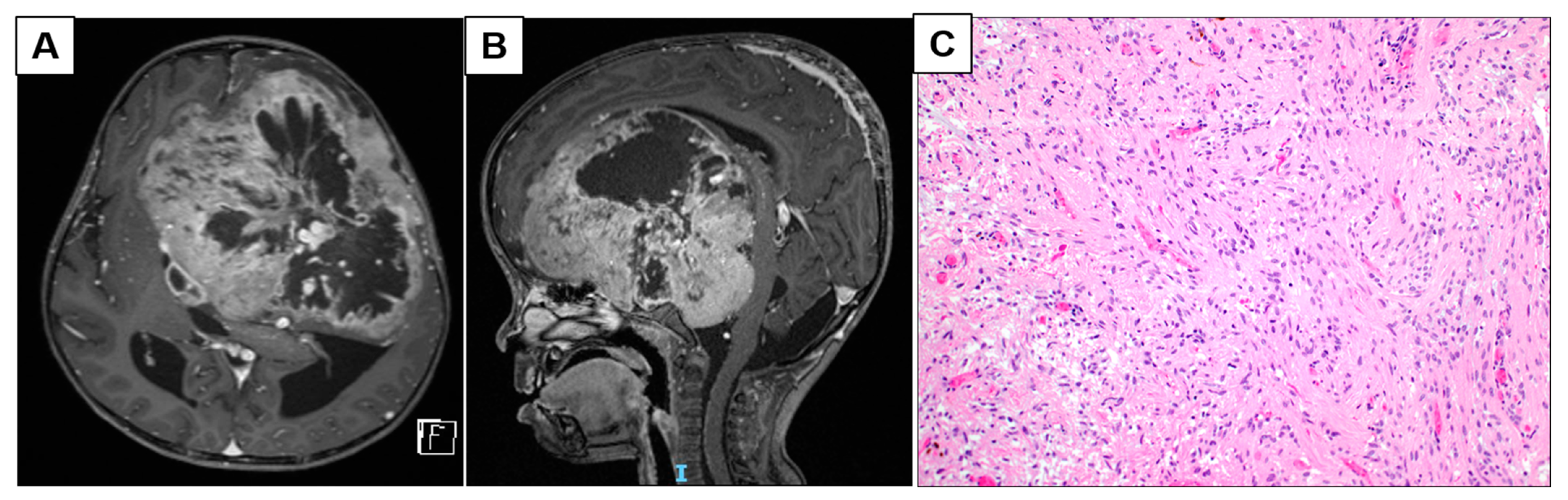 Neurosci 02 00006 g001 Neurosci 02 00006 g001