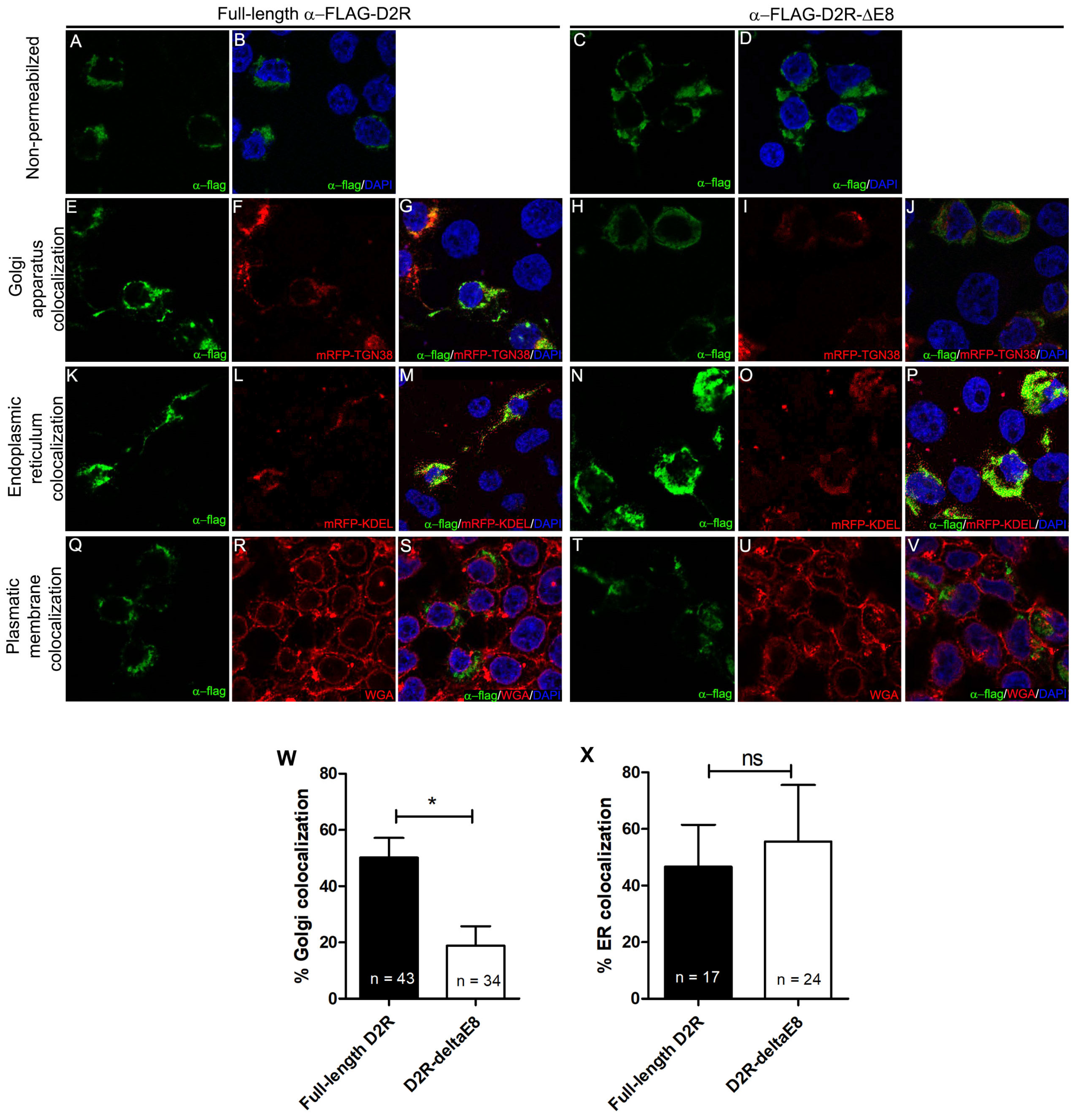 Neurosci 02 00014 g004 Neurosci 02 00014 g004