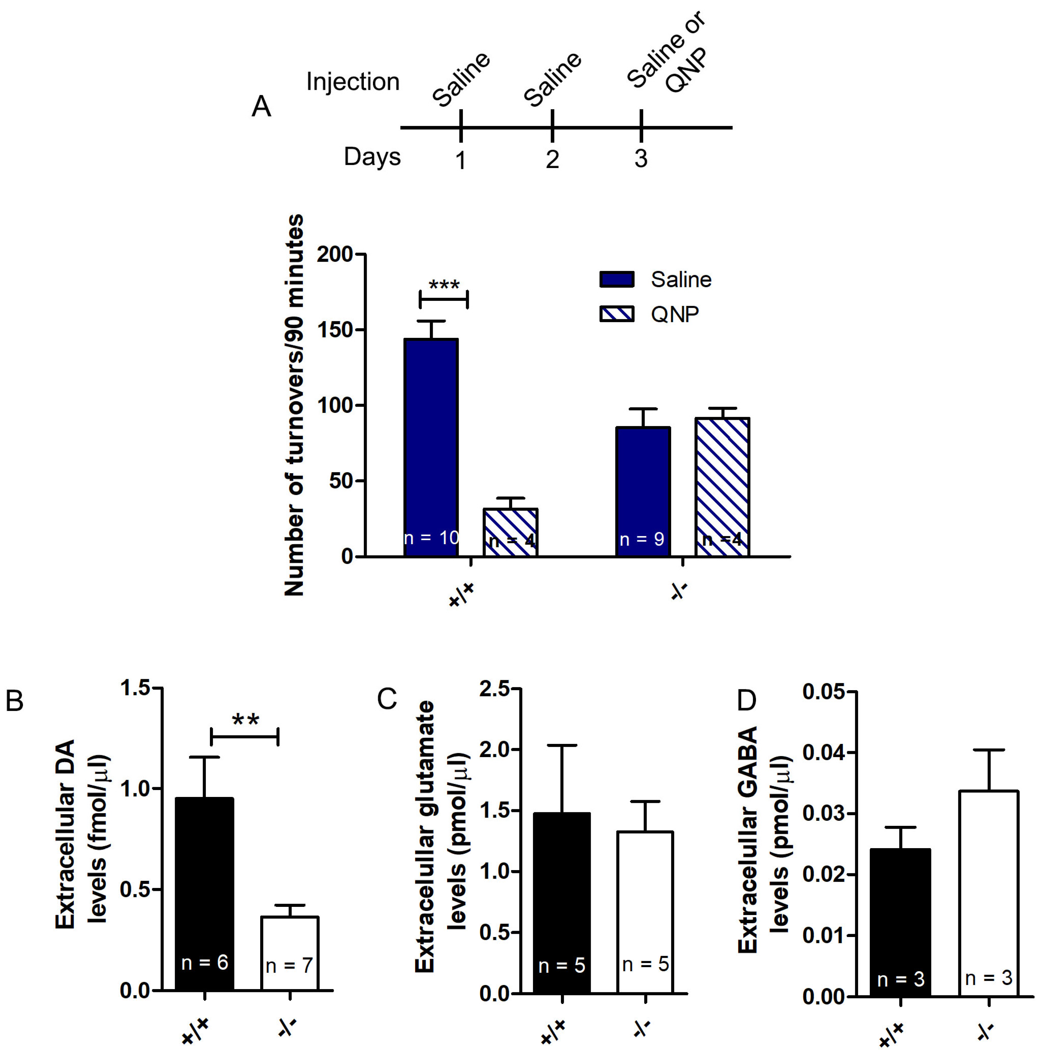 Neurosci 02 00014 g005 Neurosci 02 00014 g005