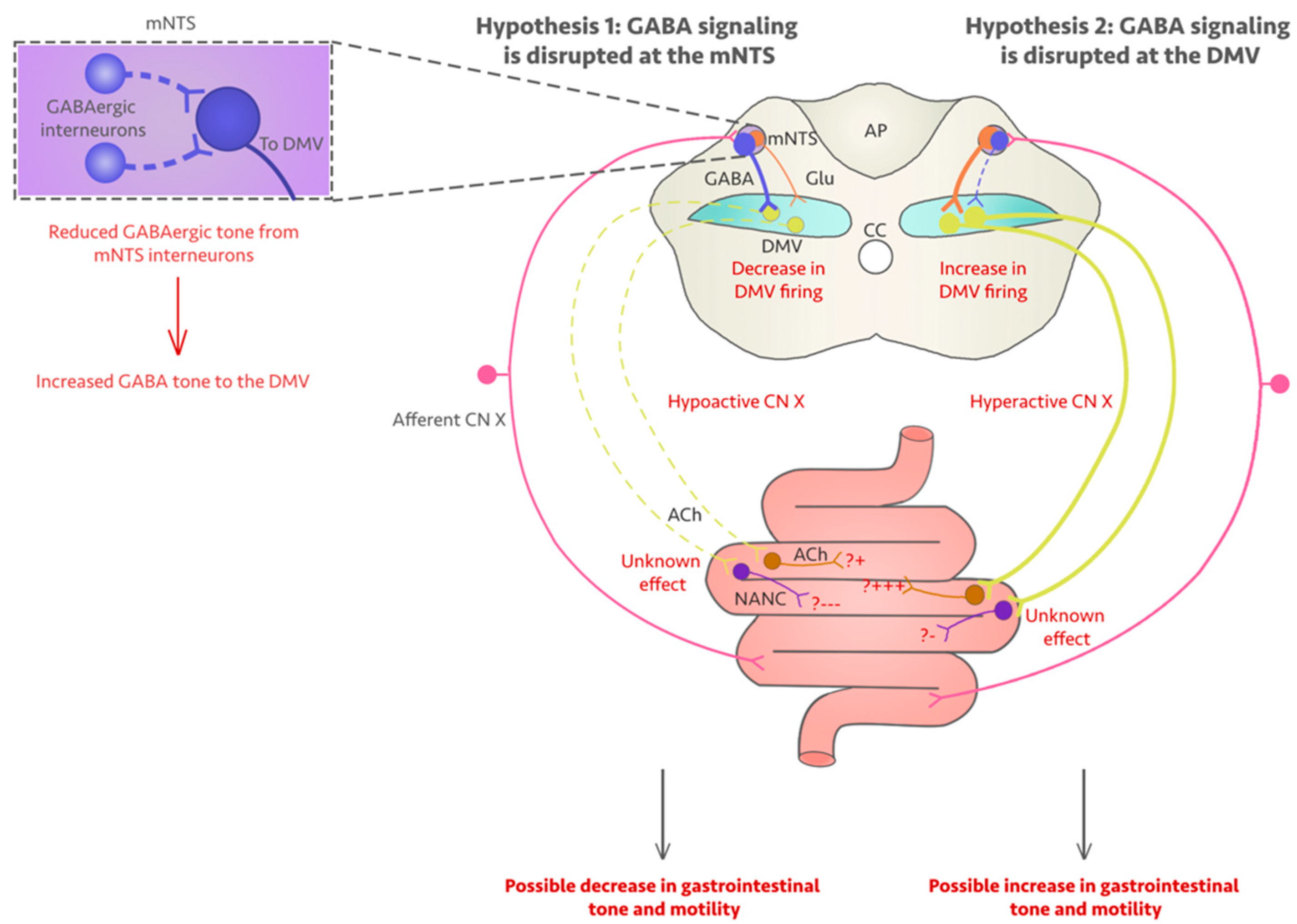 President fracture thesaurus NeuroSci | Free Full-Text | Fluoroquinolones-Associated Disability: It Is Not All in Your Head President fracture thesaurus NeuroSci | Free Full-Text | Fluoroquinolones-Associated Disability: It Is Not All in Your Head