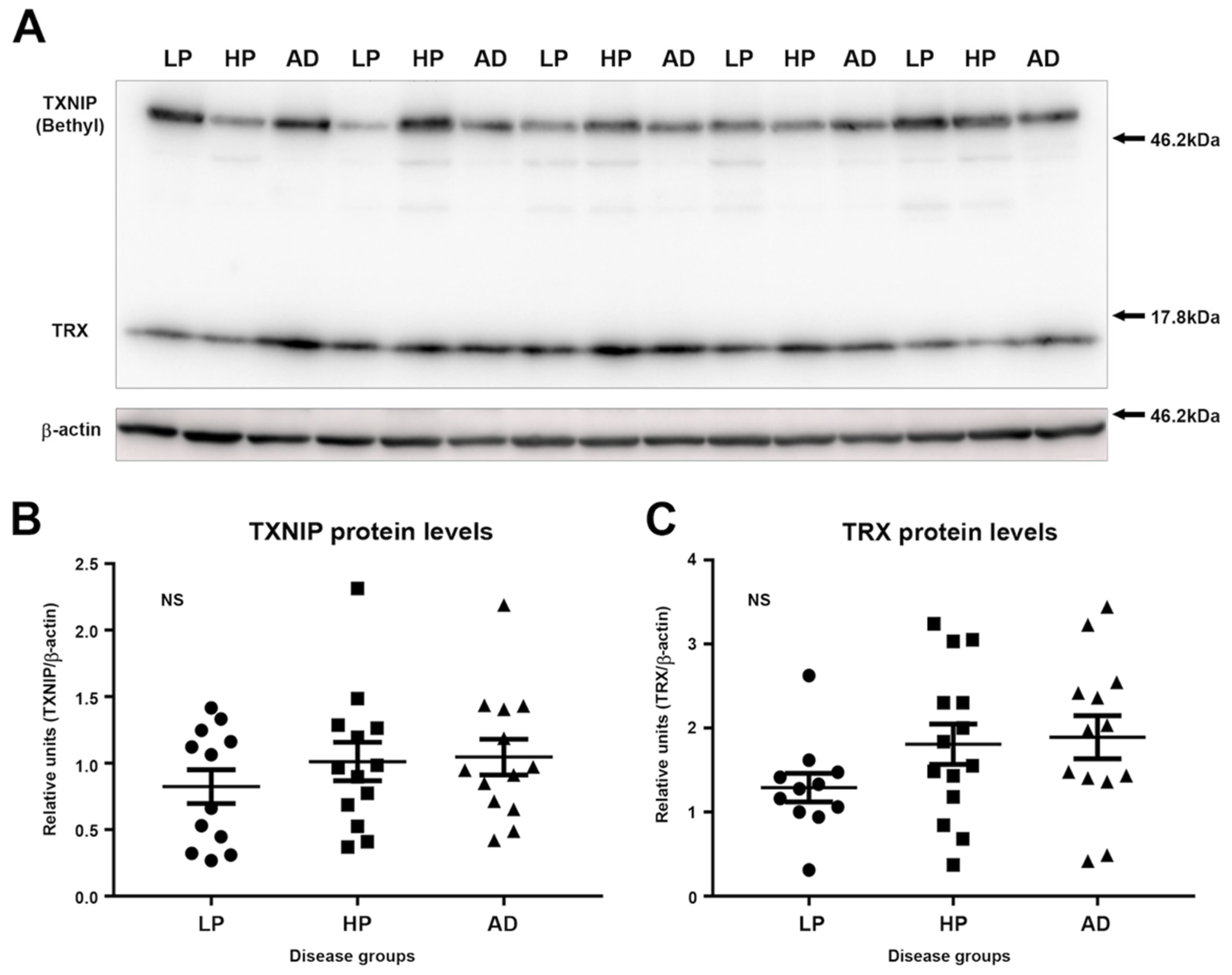 Neurosci 03 00013 g003 Neurosci 03 00013 g003
