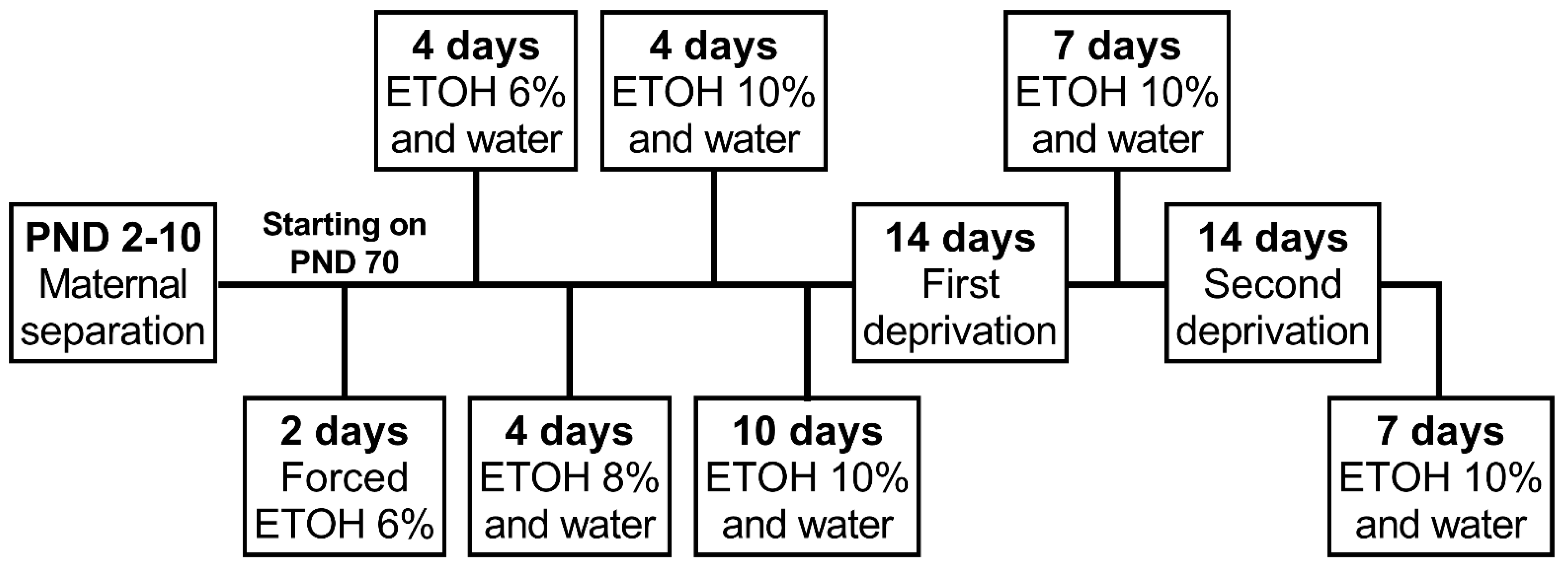 Neurosci 03 00016 g001