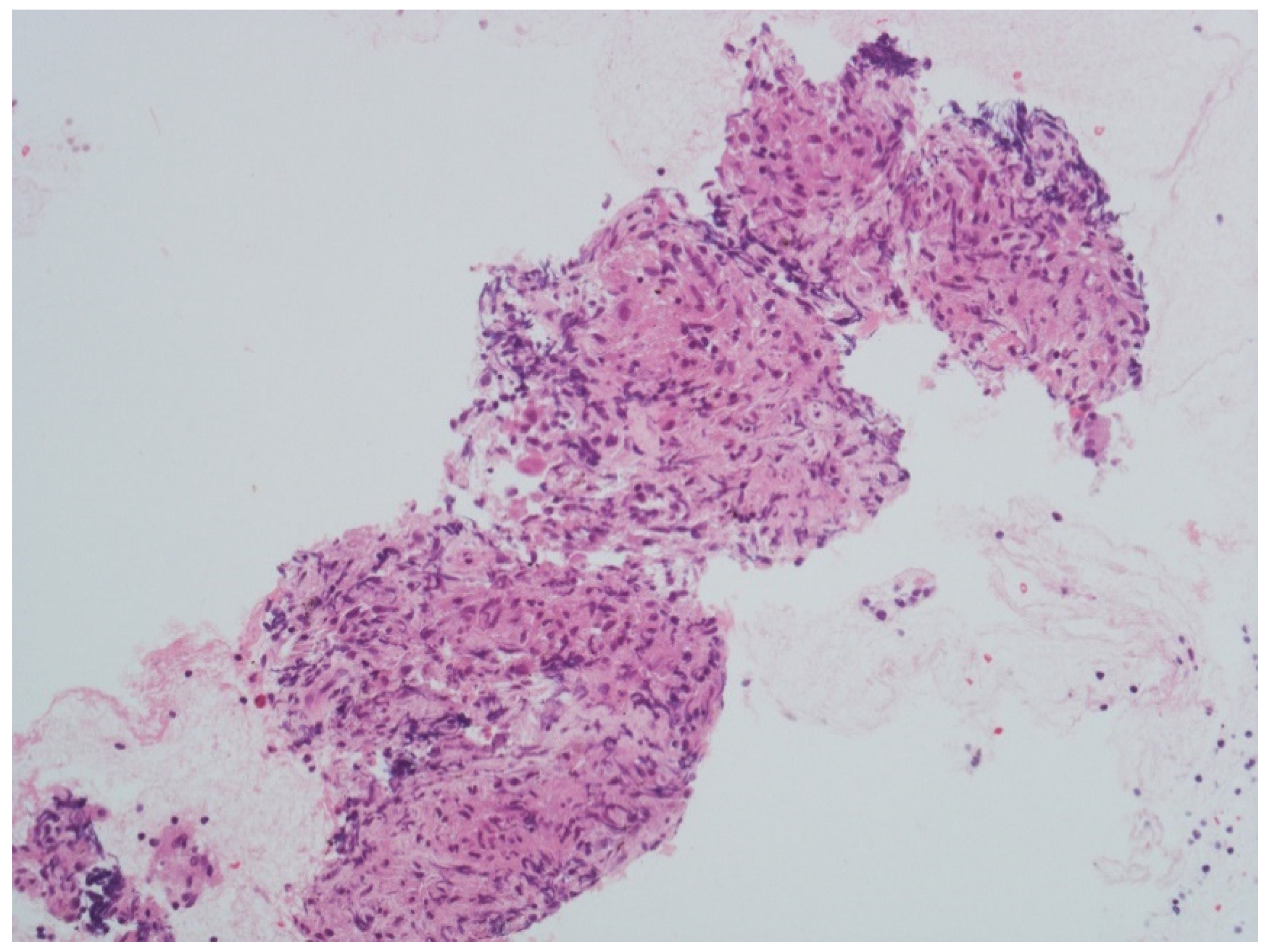 Neurosci 03 00023 g002 Neurosci 03 00023 g002