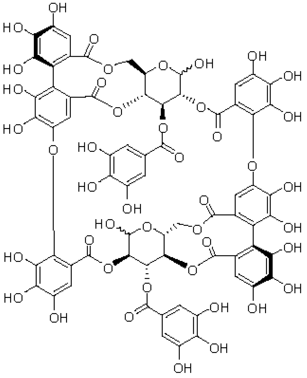 Neurosci 03 00028 g001