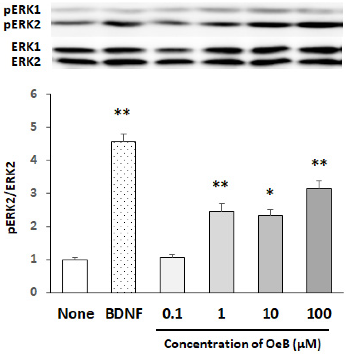 Neurosci 03 00028 g002