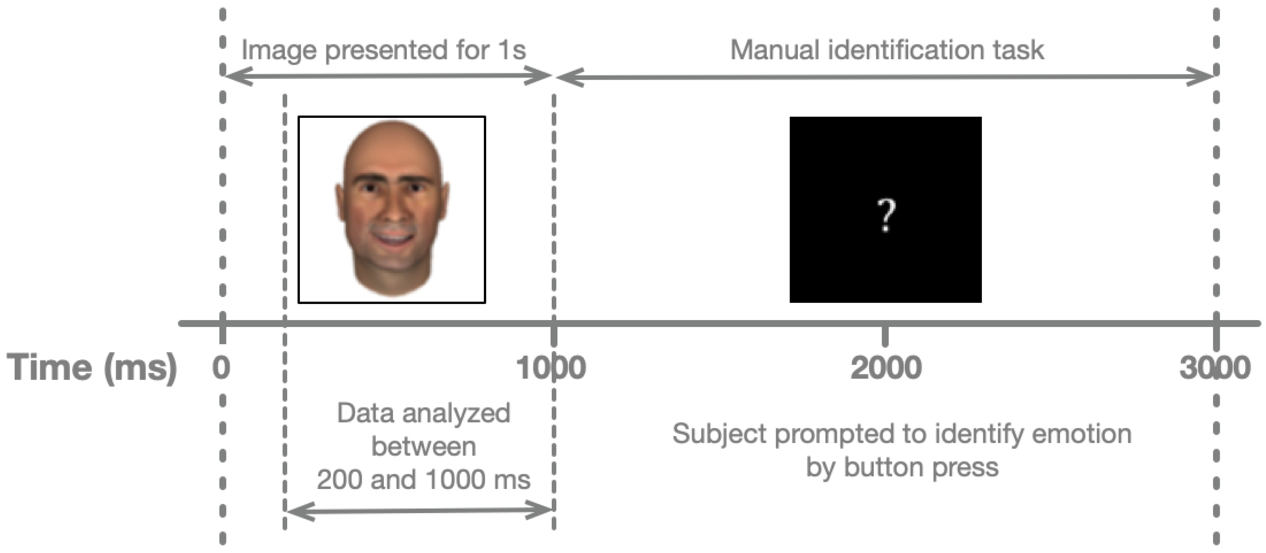 Neurosci 03 00031 g002