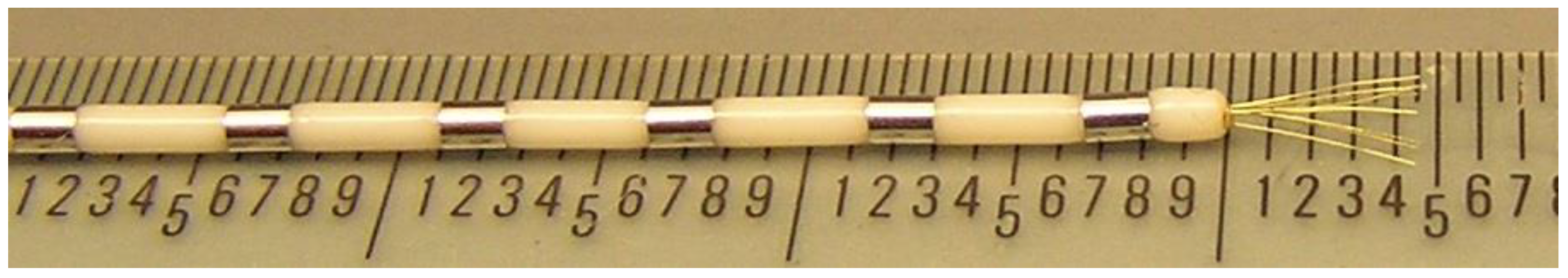 Neurosci 03 00031 g0a2