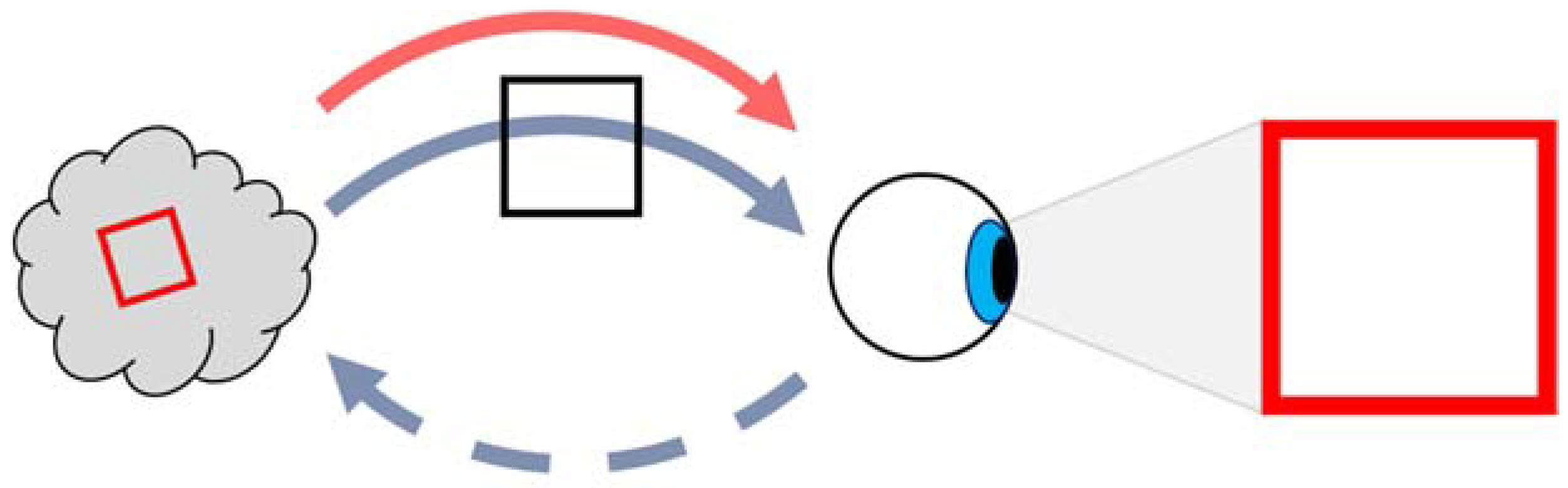 Neurosci 03 00046 g003