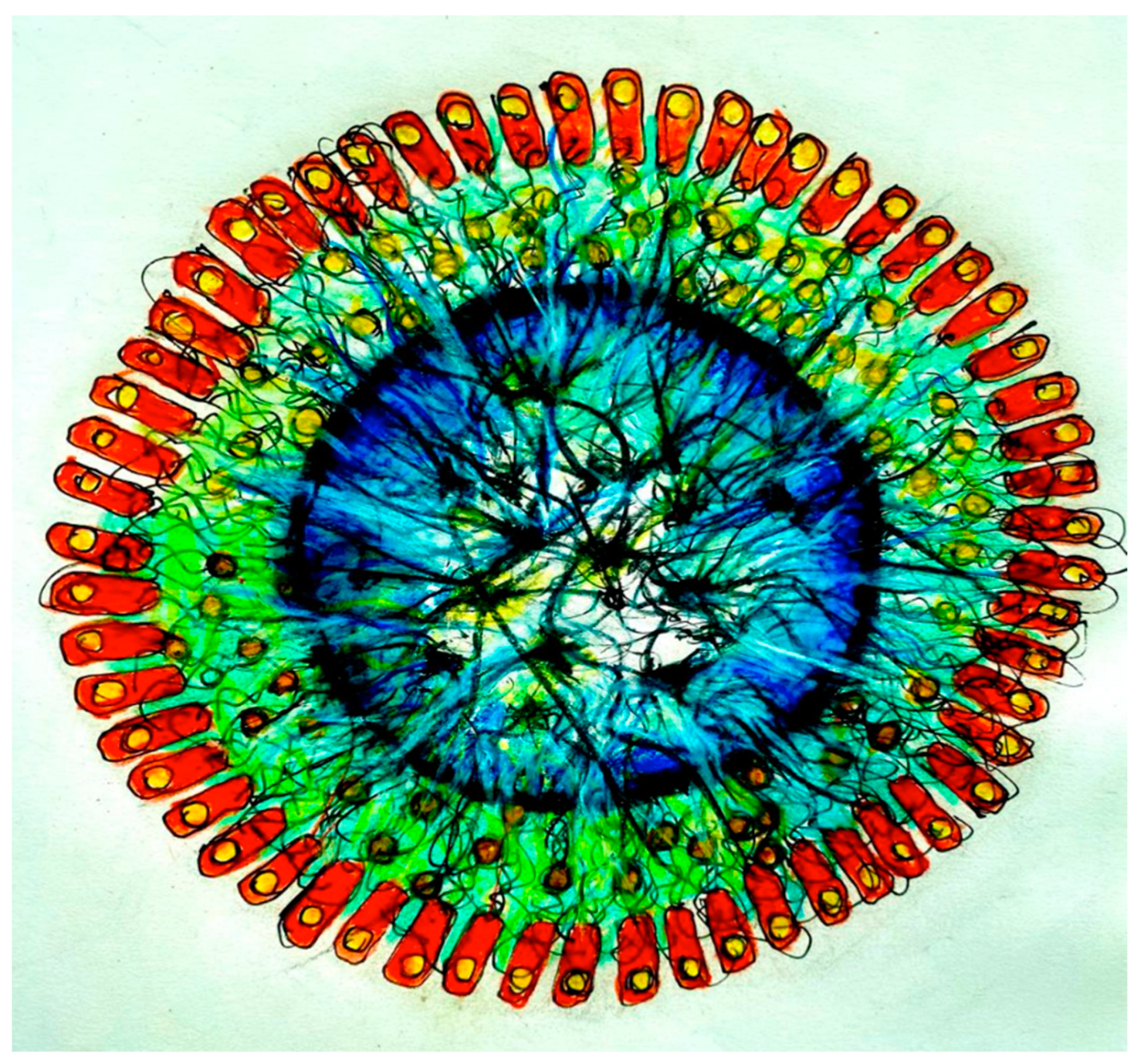 Neurosci 04 00004 g001