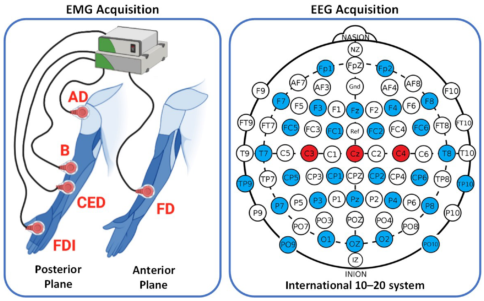 Neurosci 04 00018 g001