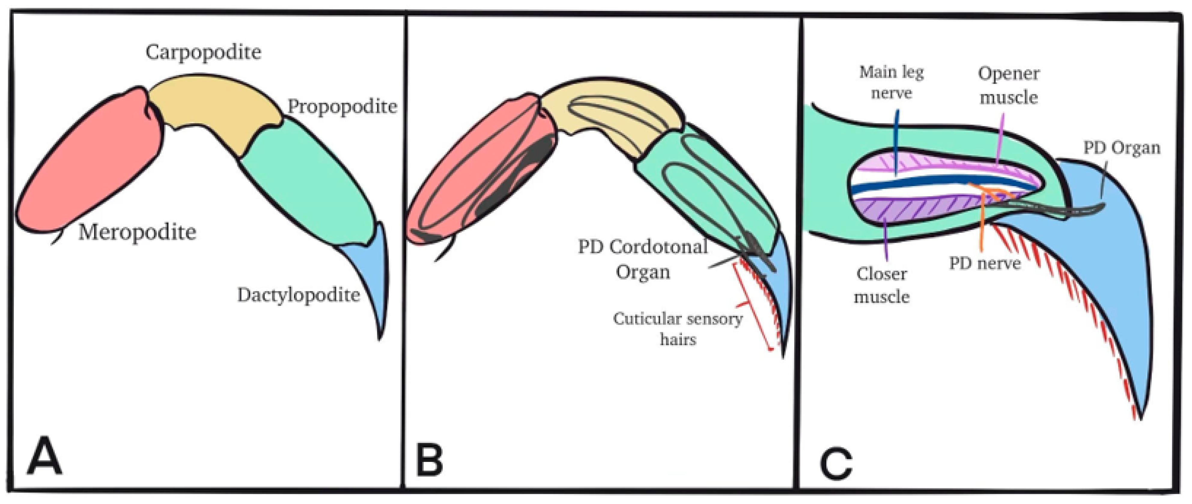 Neurosci 04 00023 g001