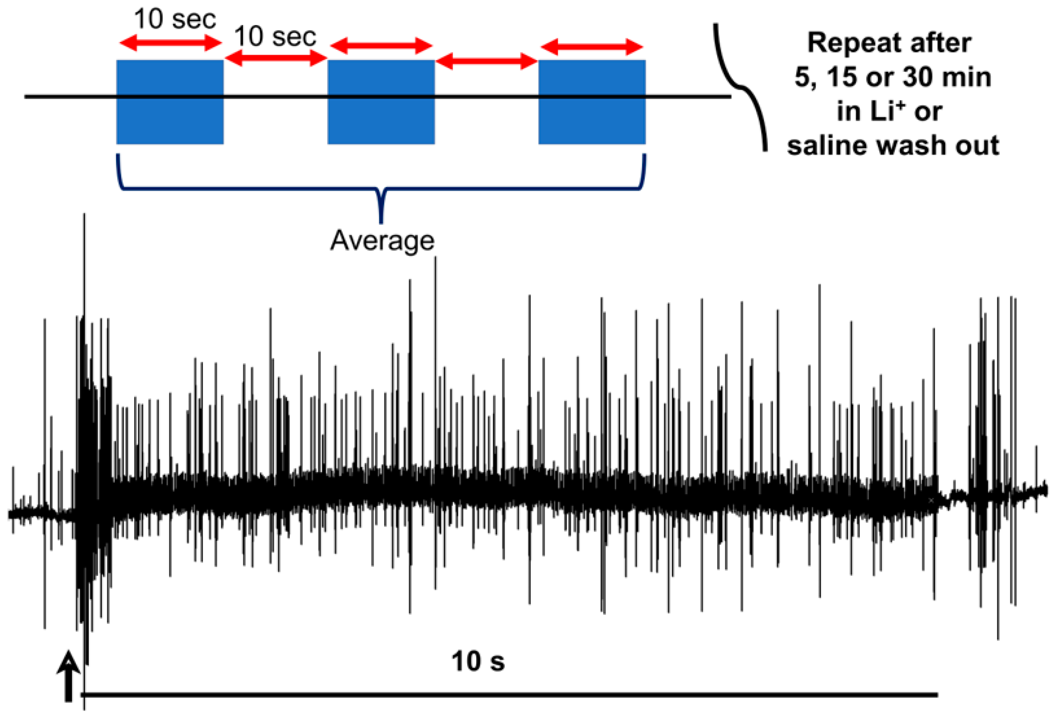 Neurosci 04 00023 g004