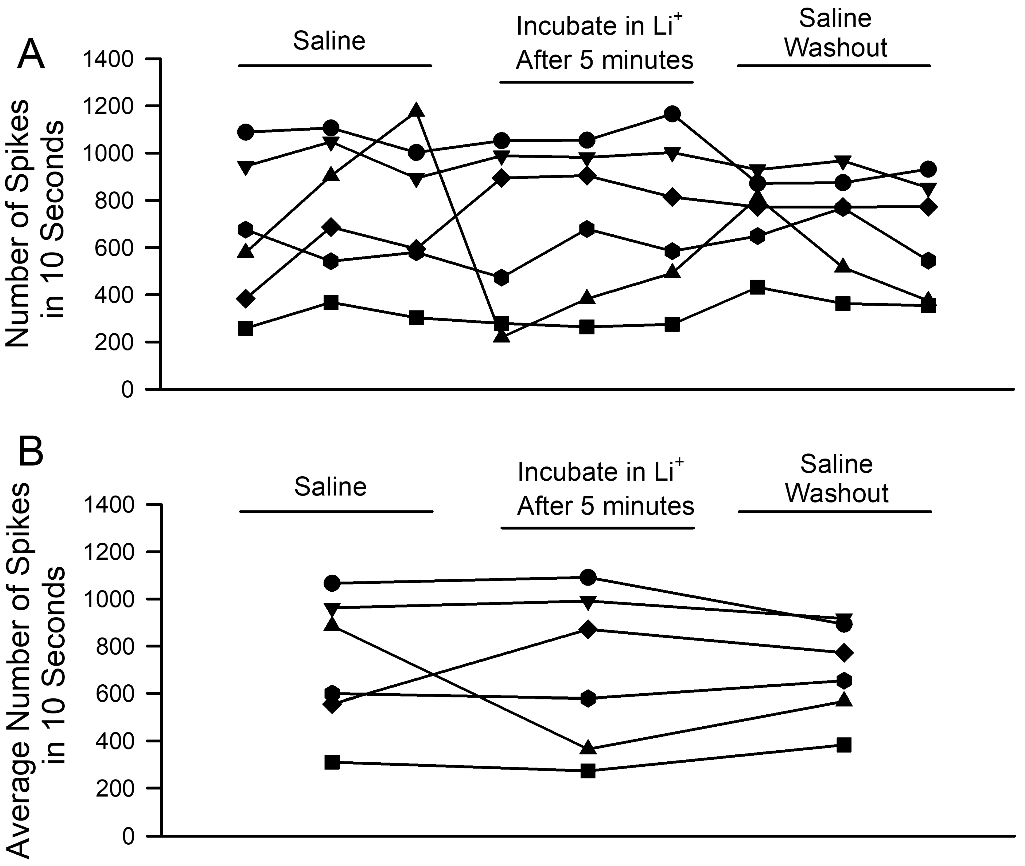 Neurosci 04 00023 g005