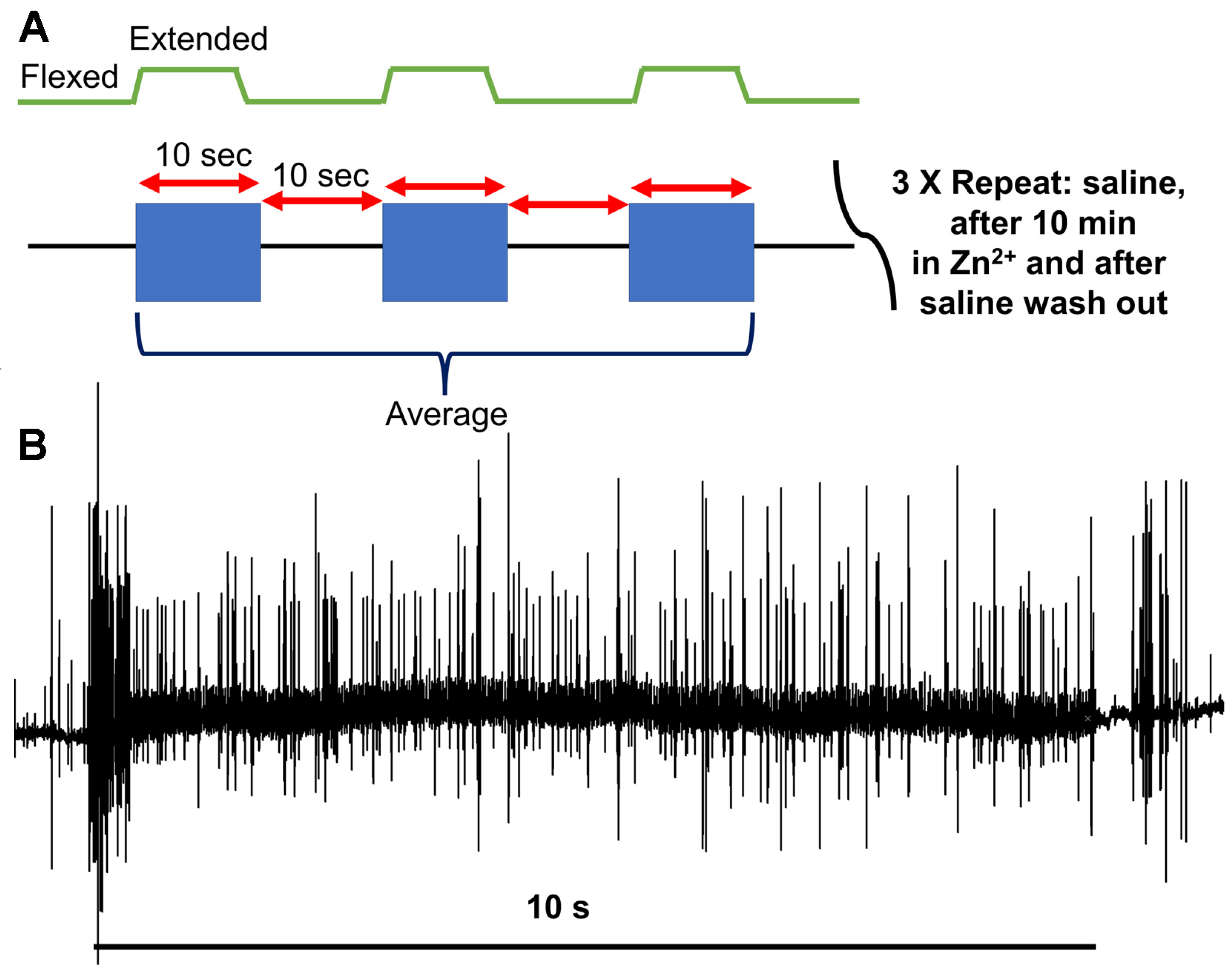 Neurosci 04 00025 g003