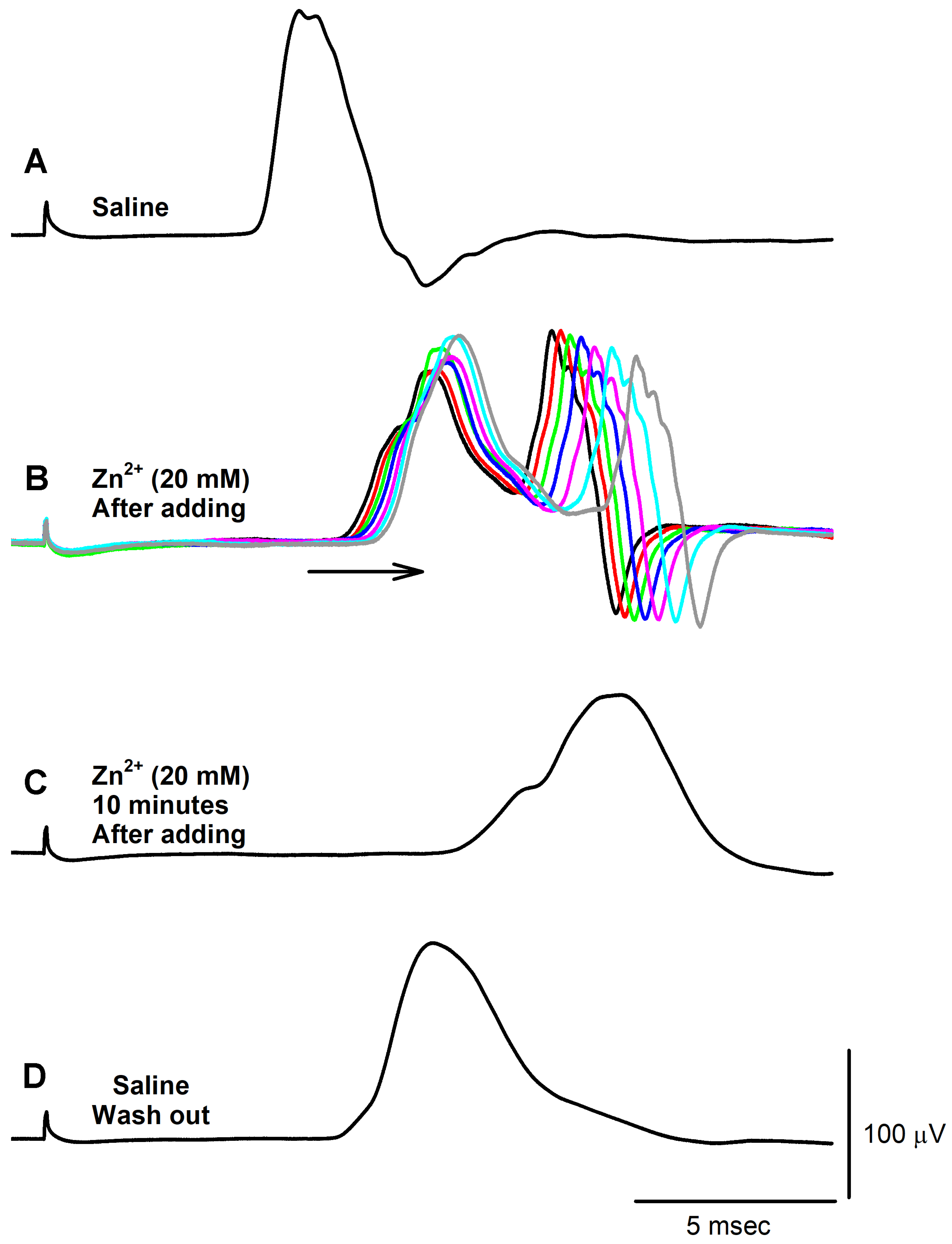 Neurosci 04 00025 g007