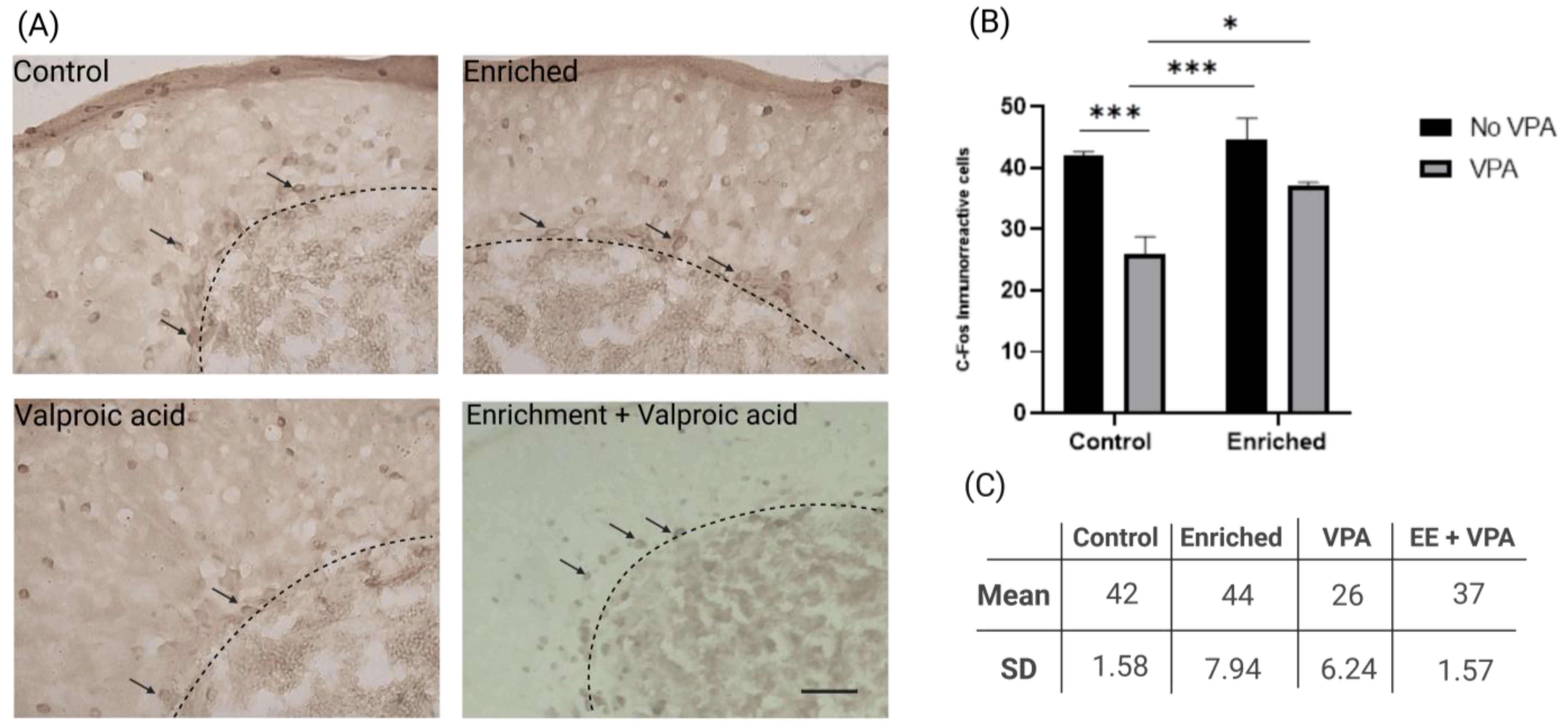 Neurosci 05 00009 g003