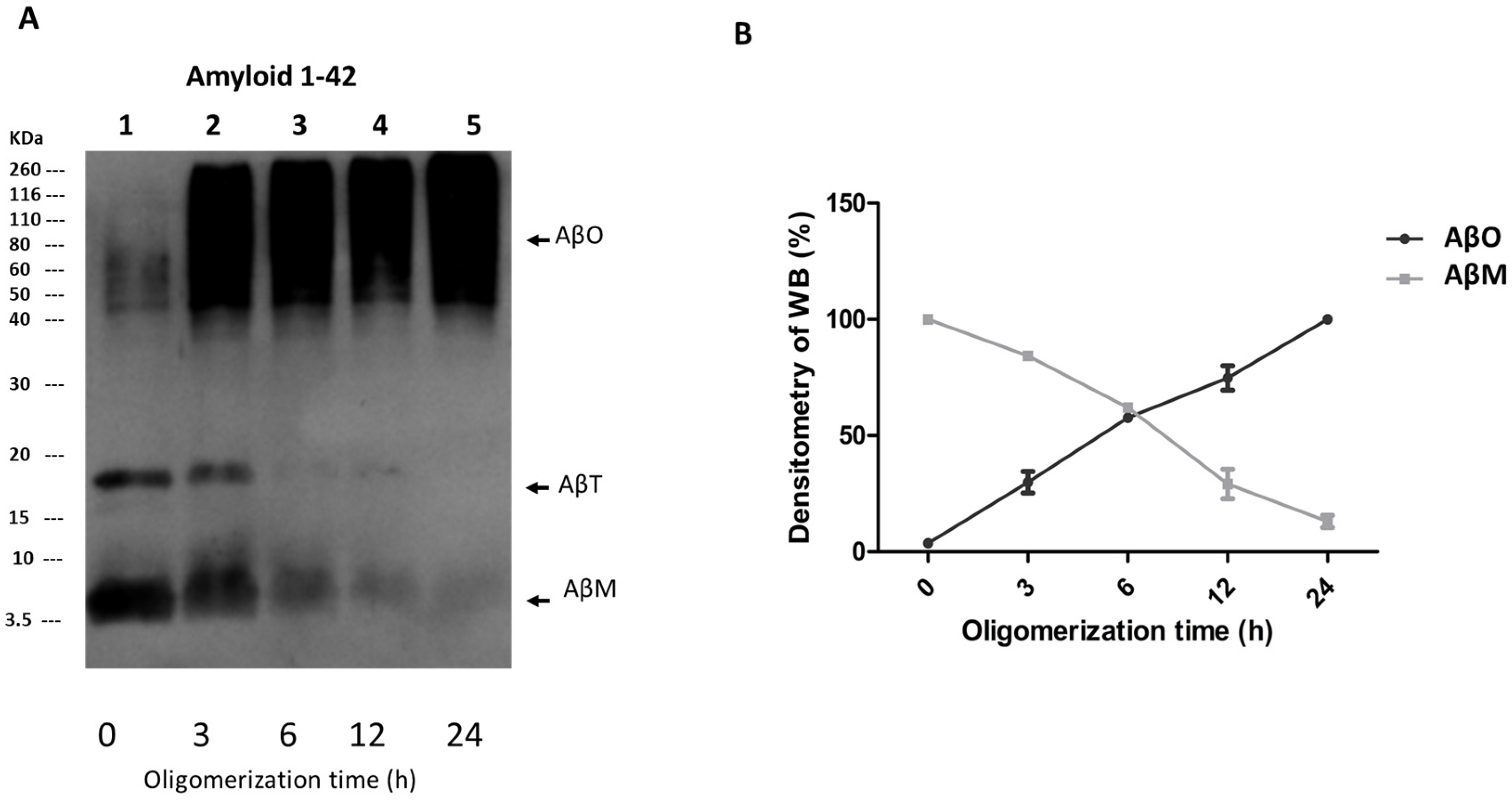 Neurosci 05 00010 g001 Neurosci 05 00010 g001