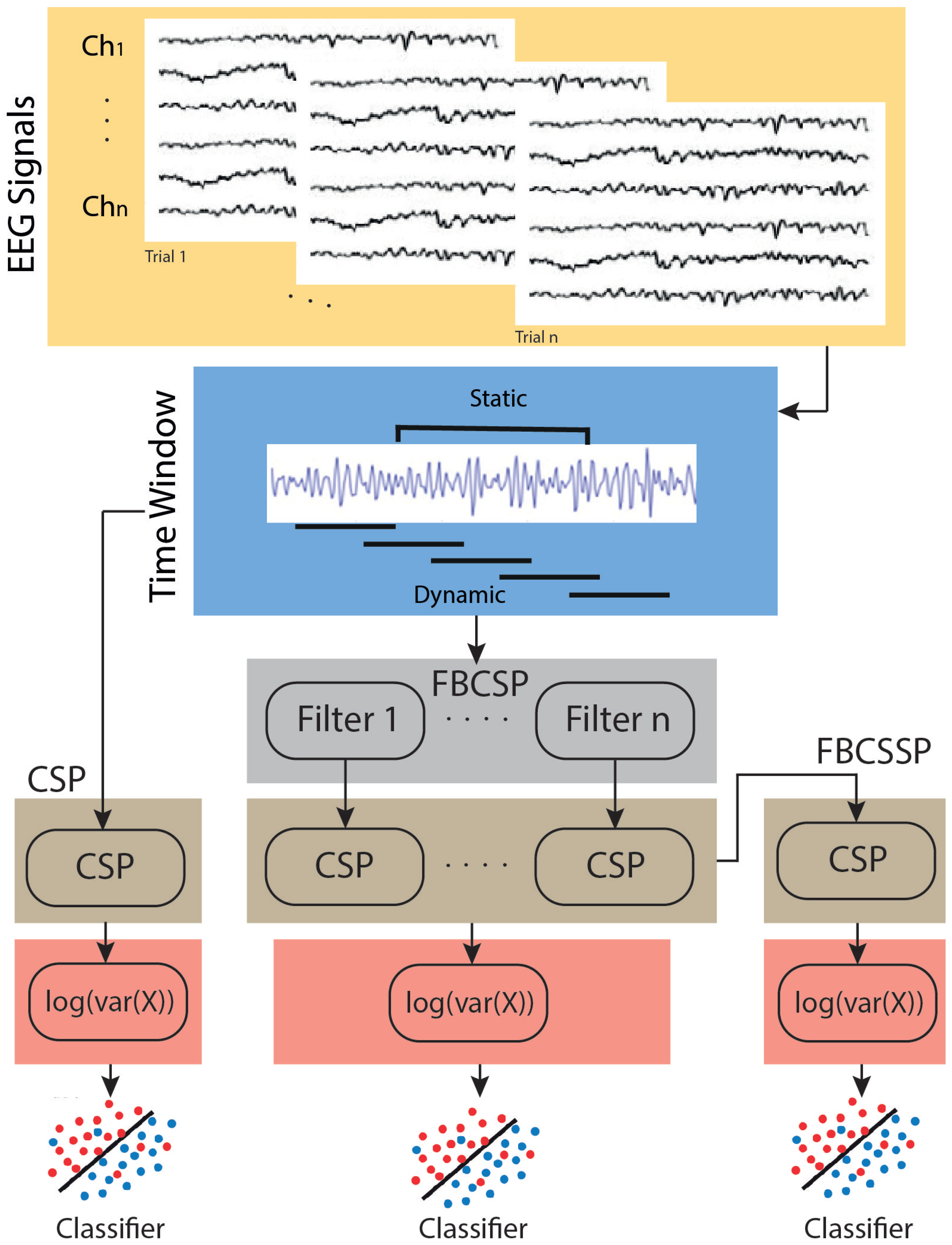 Neurosci 05 00012 g001