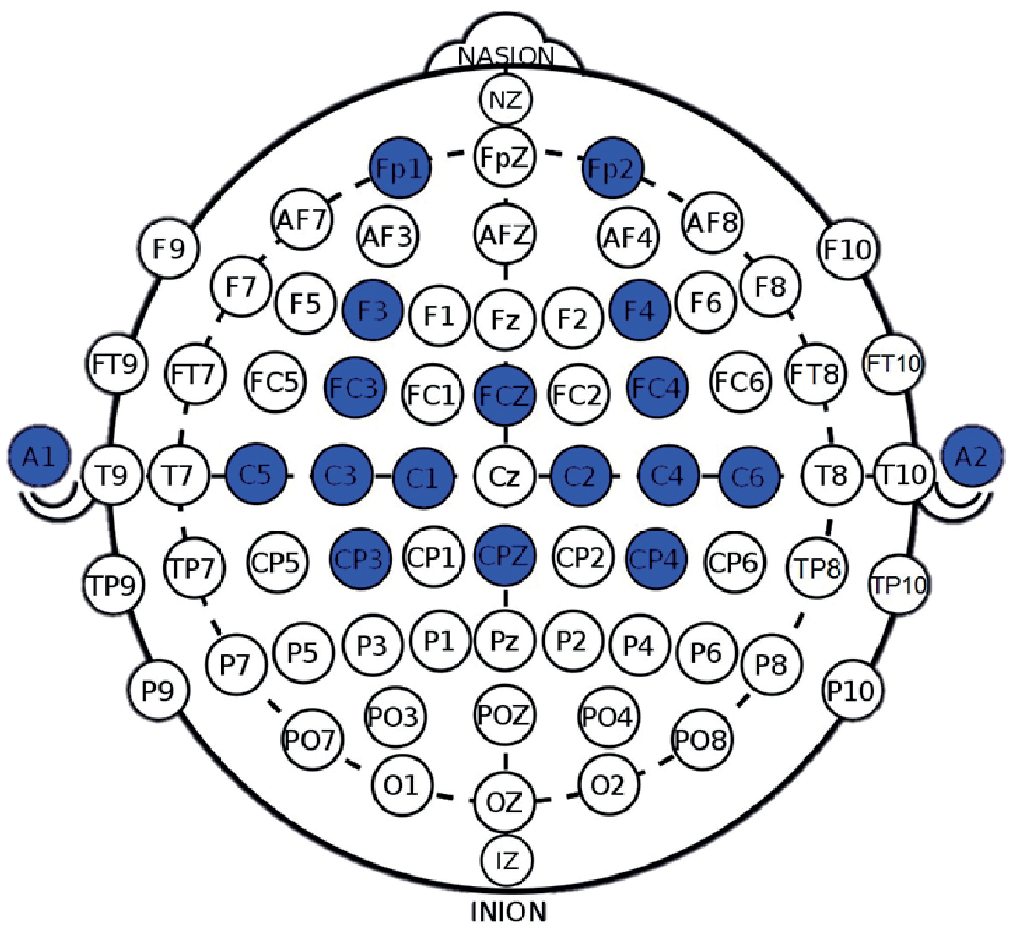 Neurosci 05 00012 g002