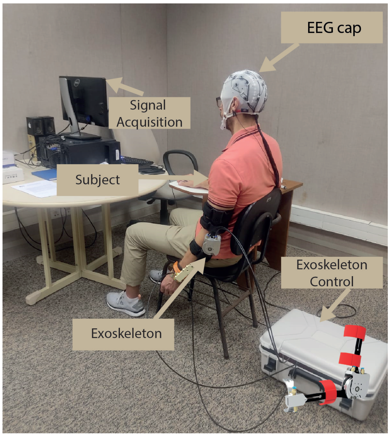 Neurosci 05 00012 g003