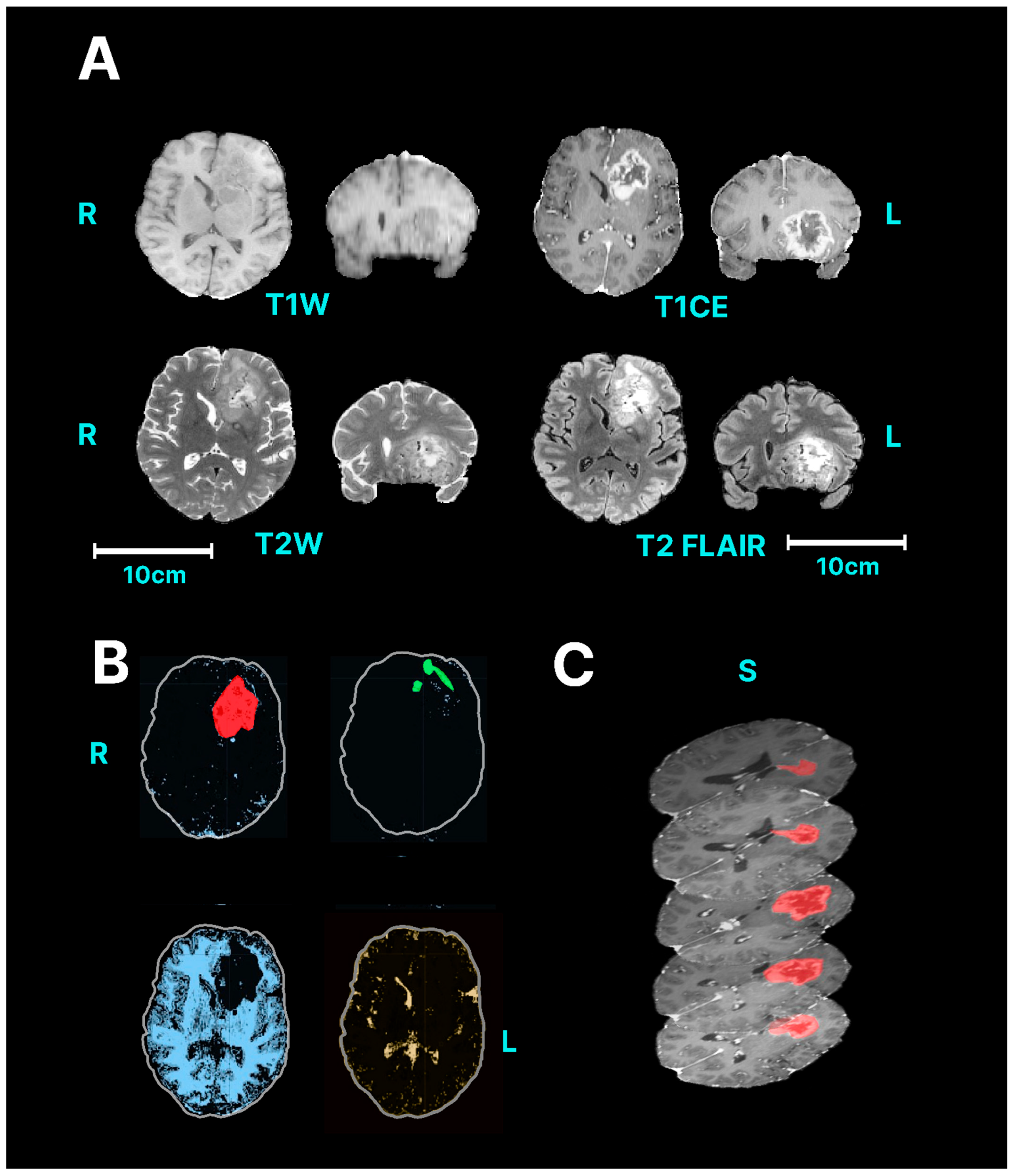 Neurosci 05 00021 g004