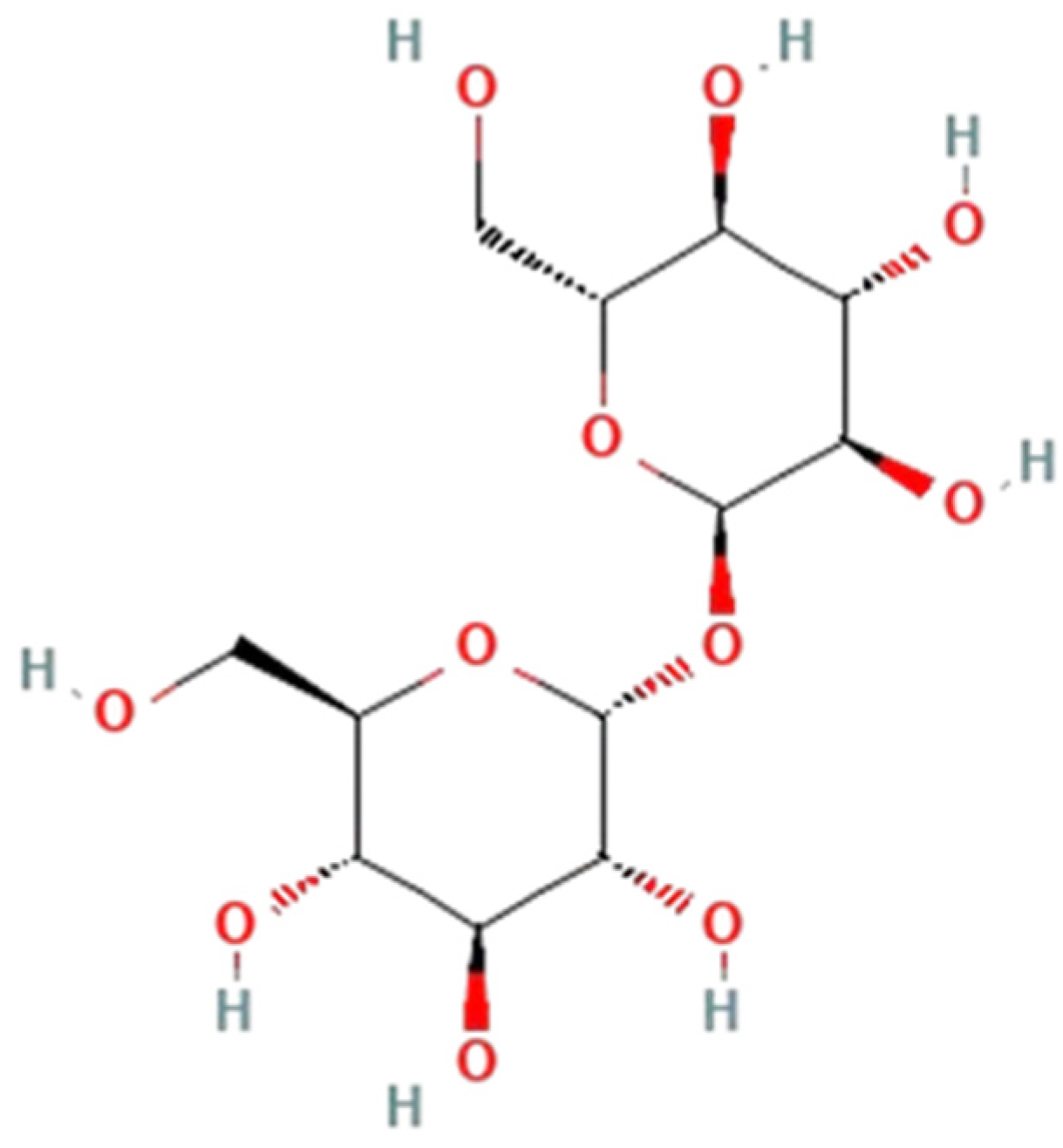 Neurosci 05 00032 g001