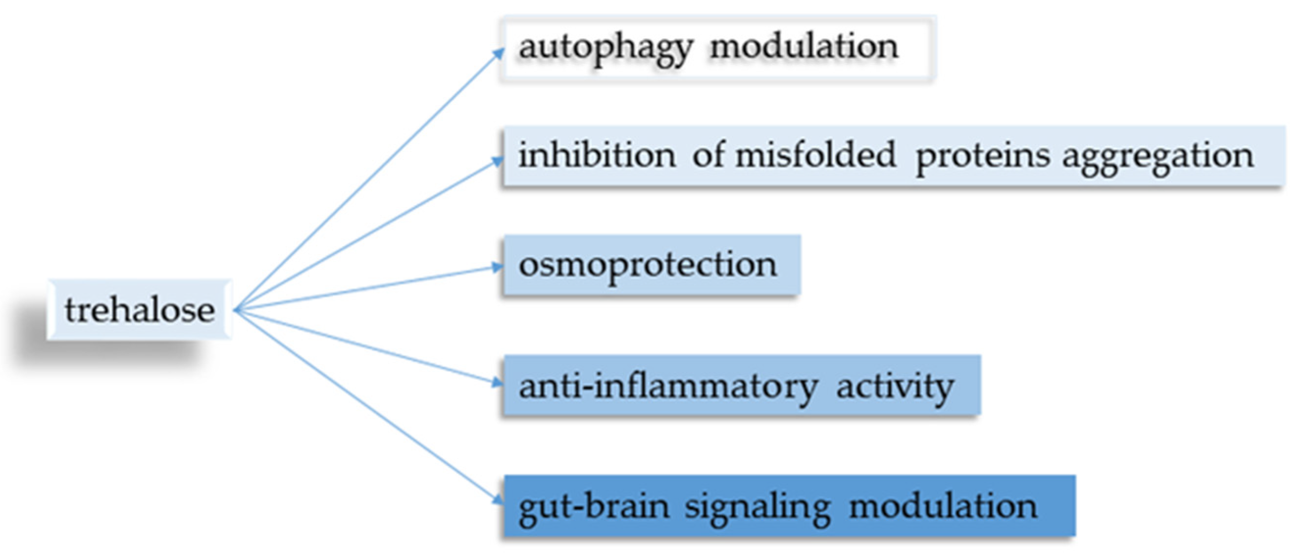 Neurosci 05 00032 g002