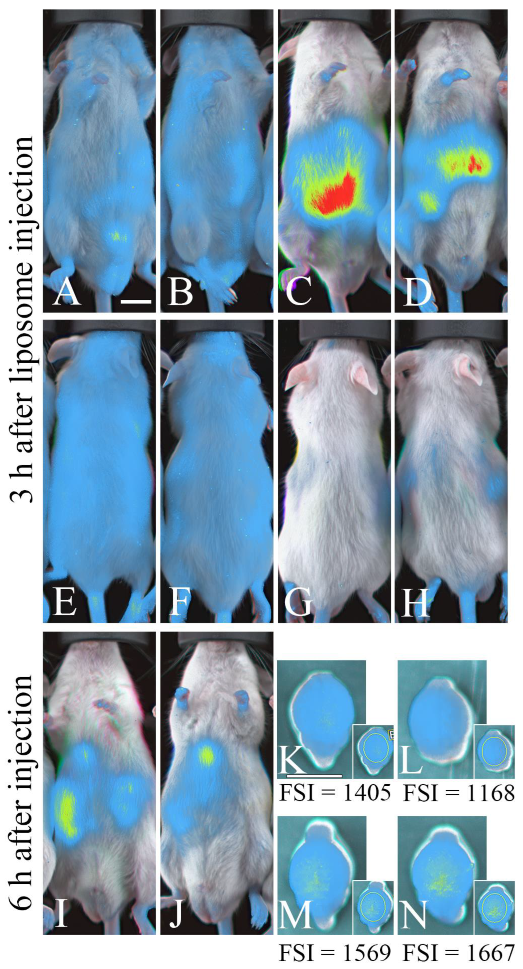 Neurosci 05 00037 g002