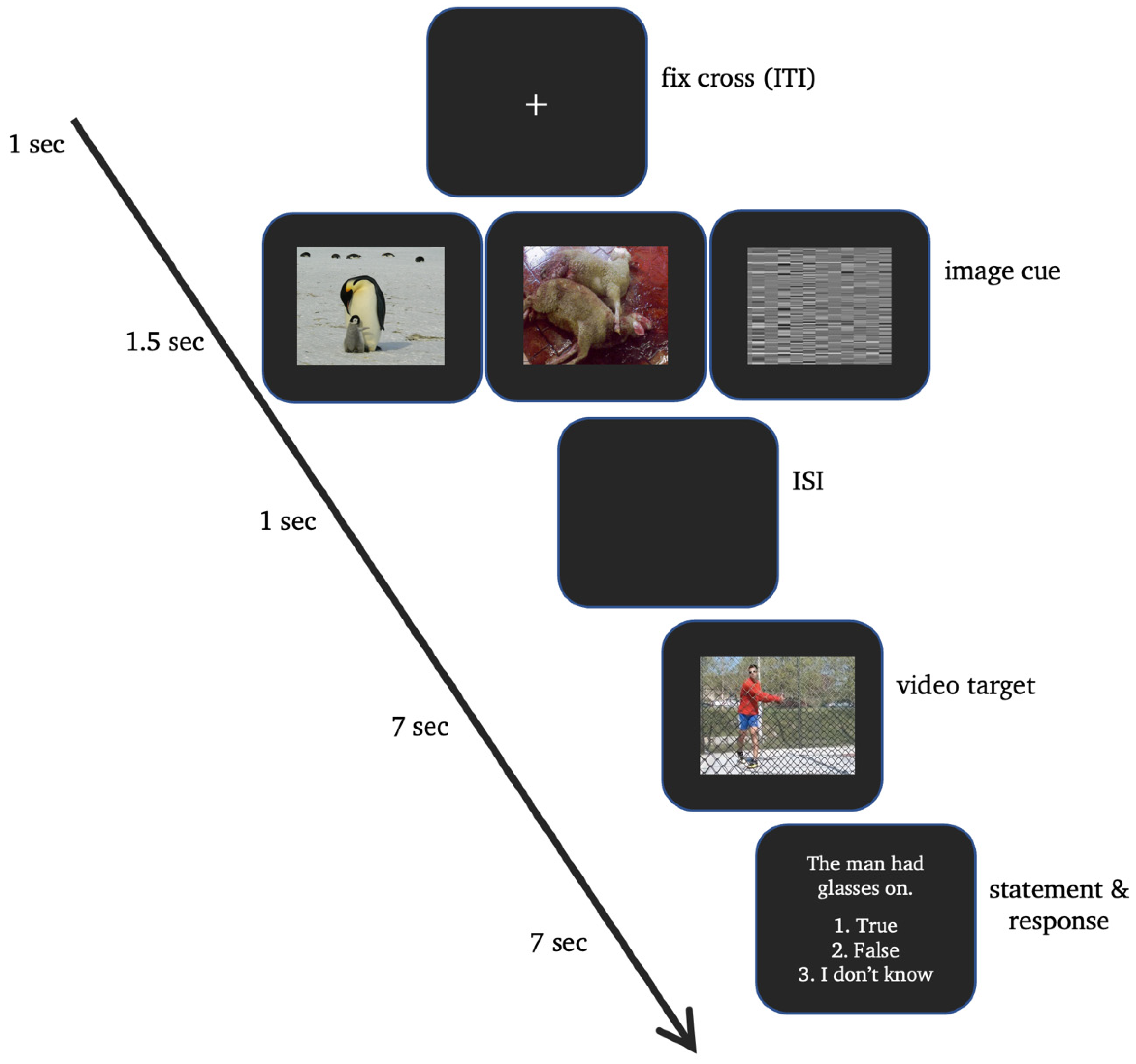 Neurosci 05 00040 g001 Neurosci 05 00040 g001