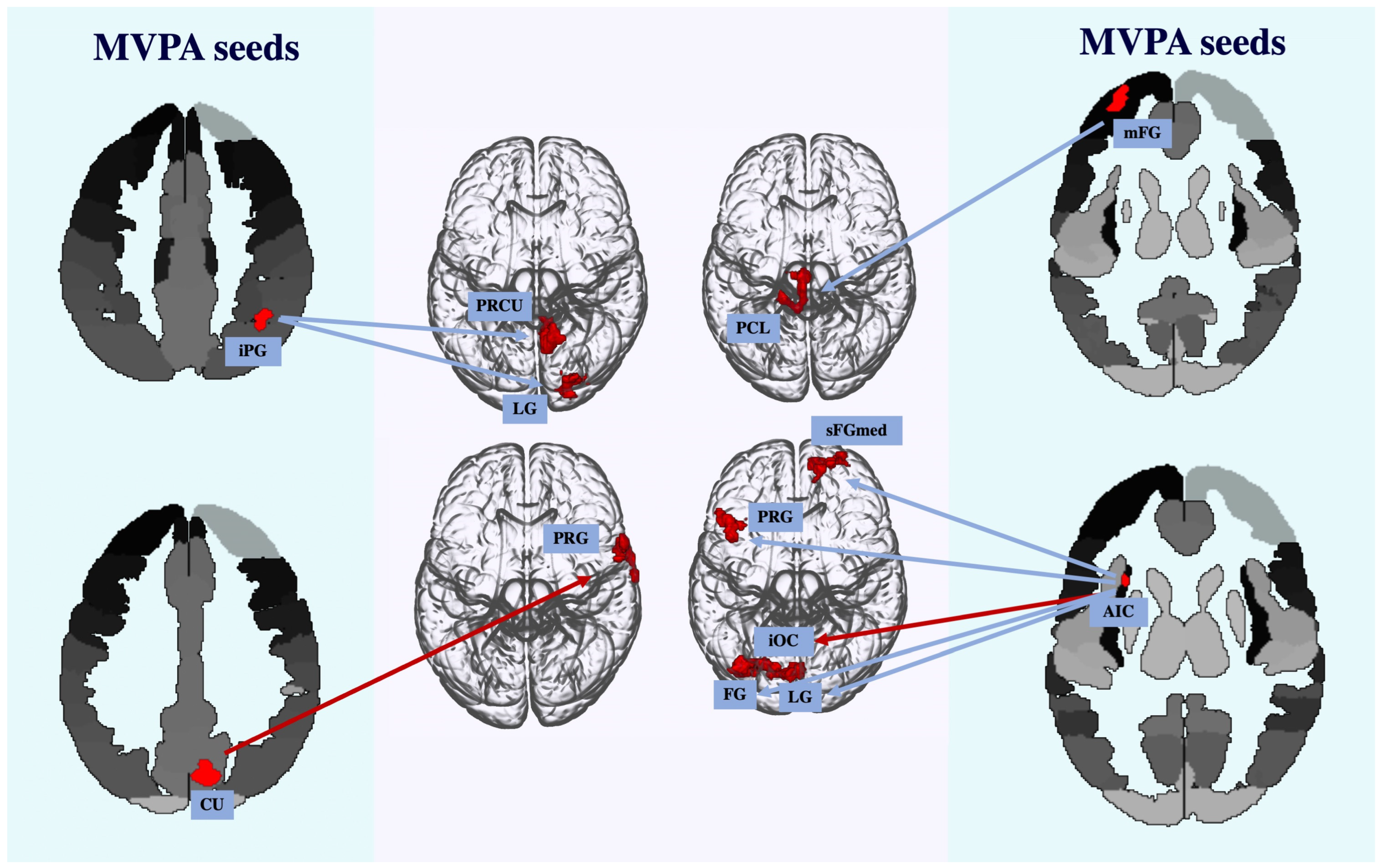 Neurosci 05 00040 g004 Neurosci 05 00040 g004