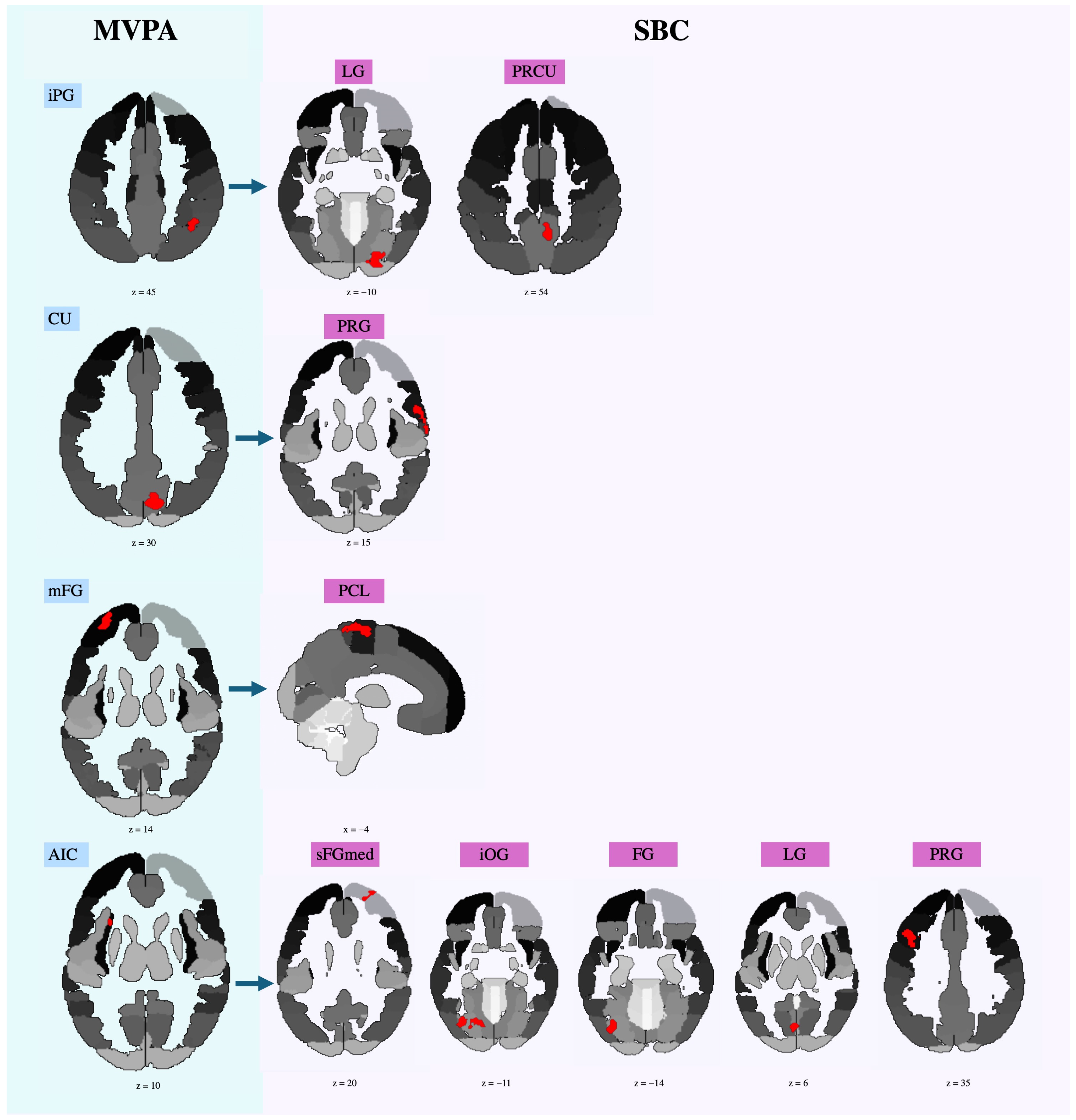 Neurosci 05 00040 g0a3 Neurosci 05 00040 g0a3