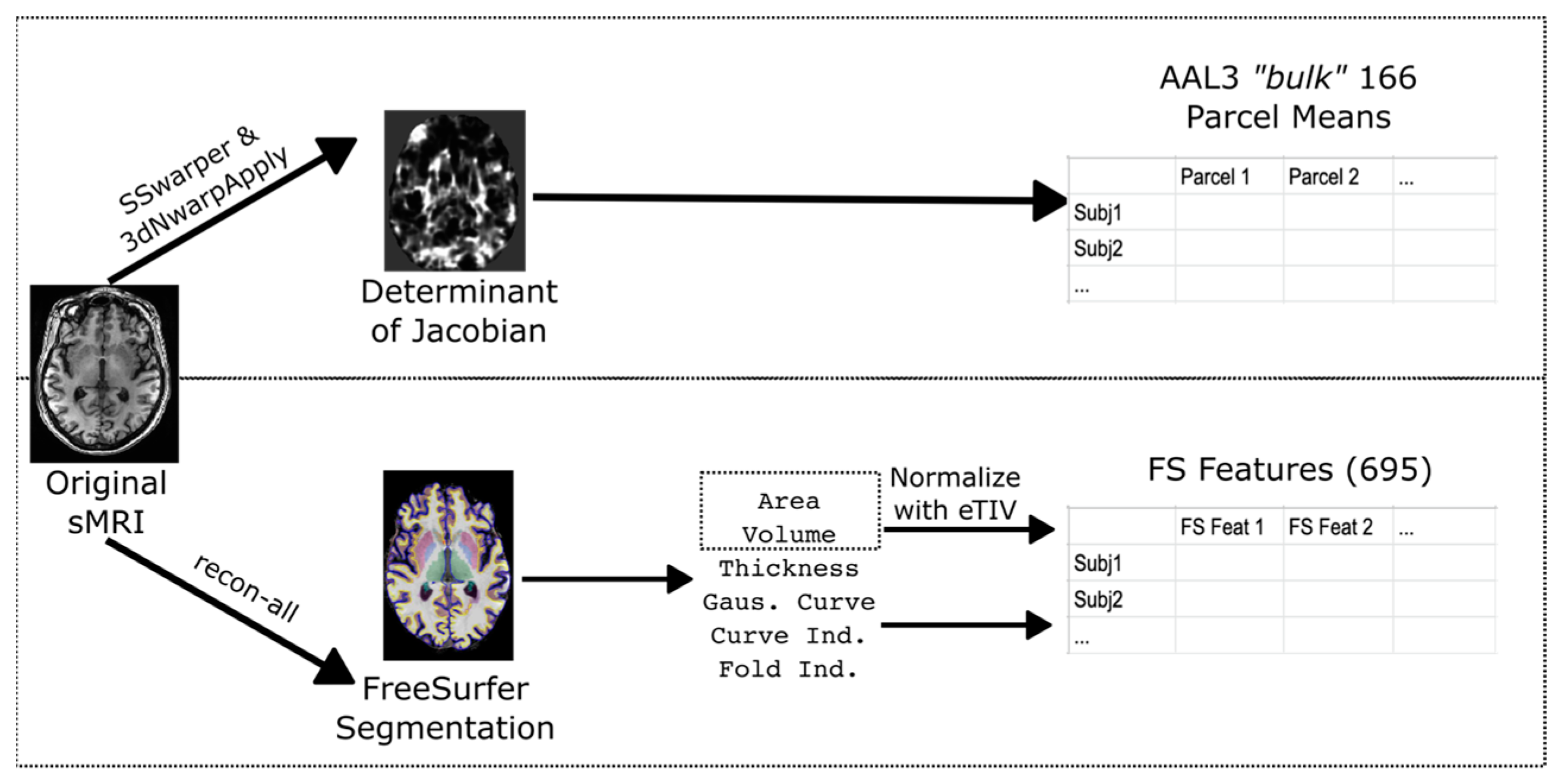 Neurosci 05 00042 g001