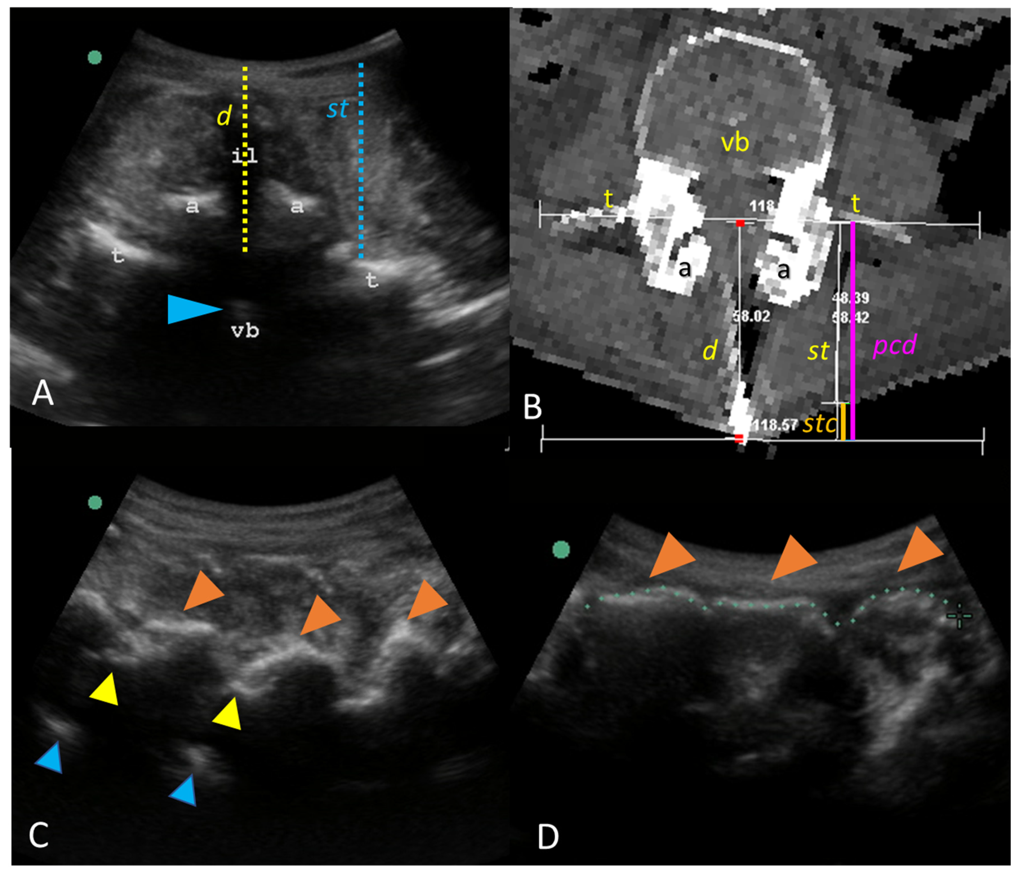 Neurosci 05 00044 g001