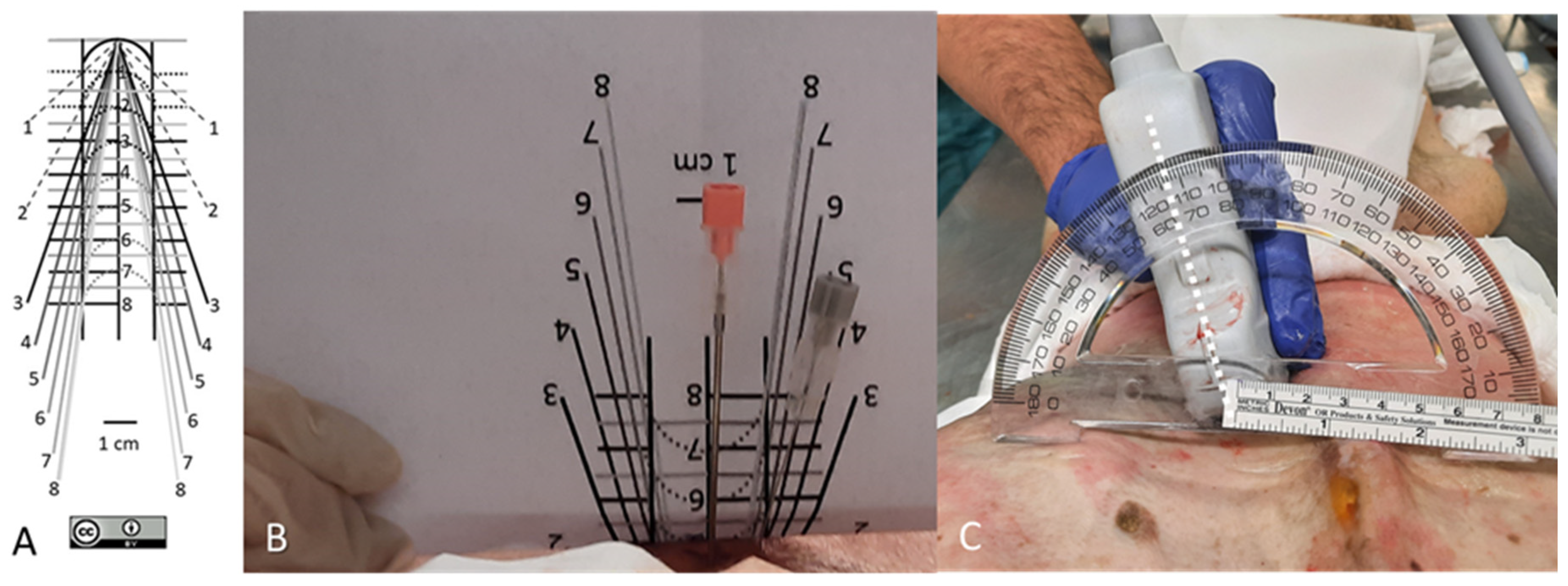 Neurosci 05 00044 g002