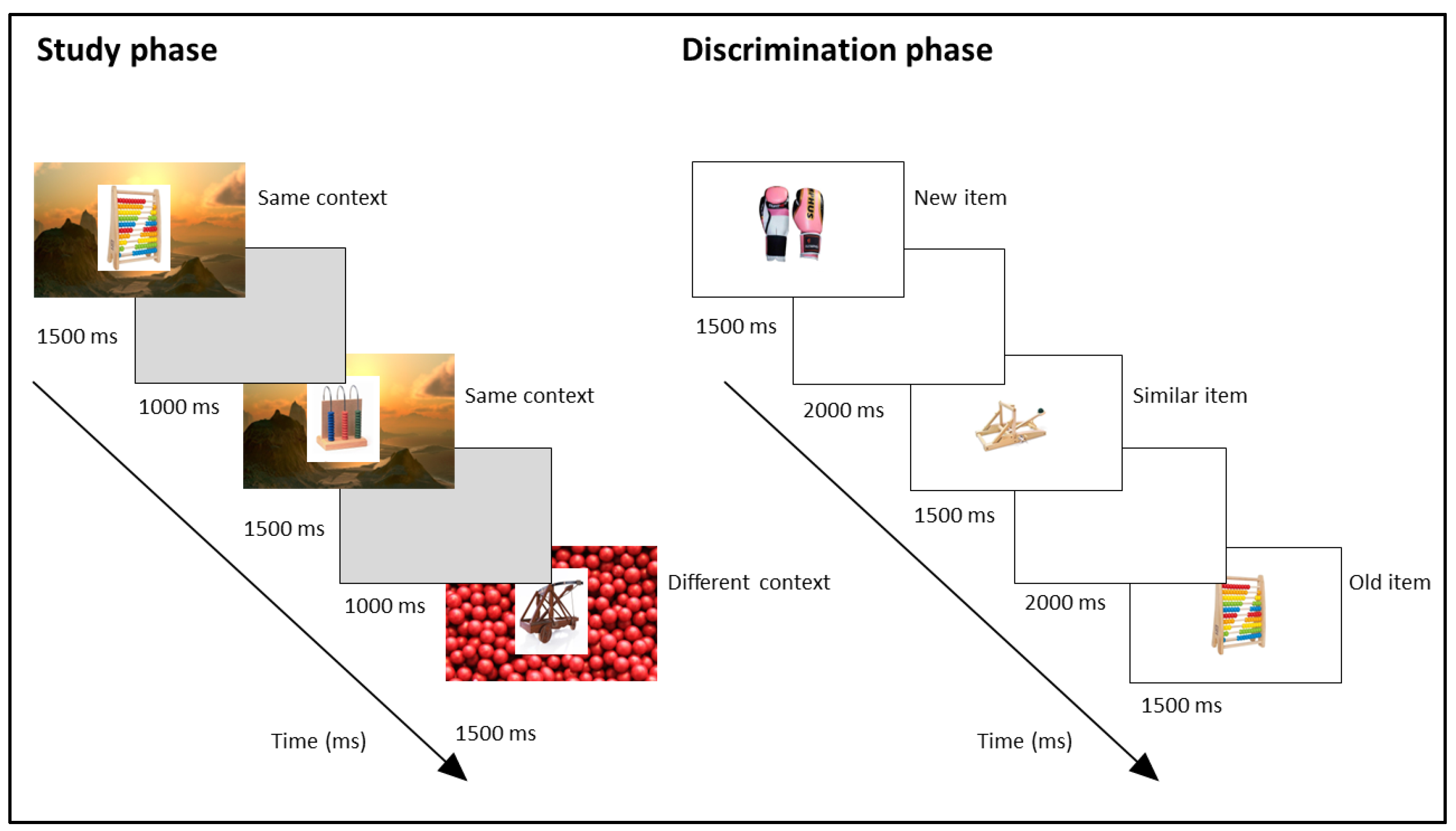 Neurosci 06 00013 g001